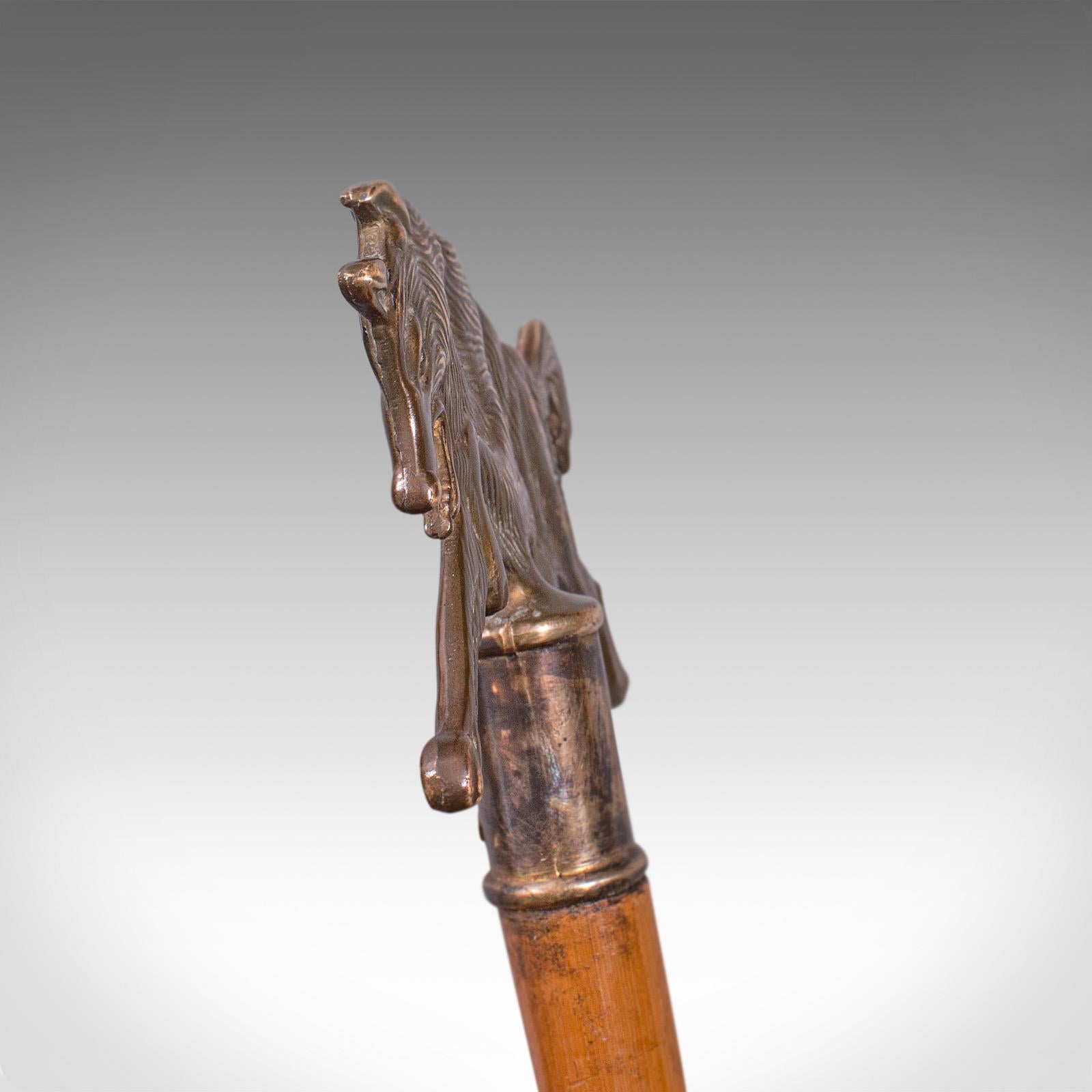 Bentwood Antique Gentleman's Walking Stick, German, Cane, Black Forest, Edwardian, C.1910