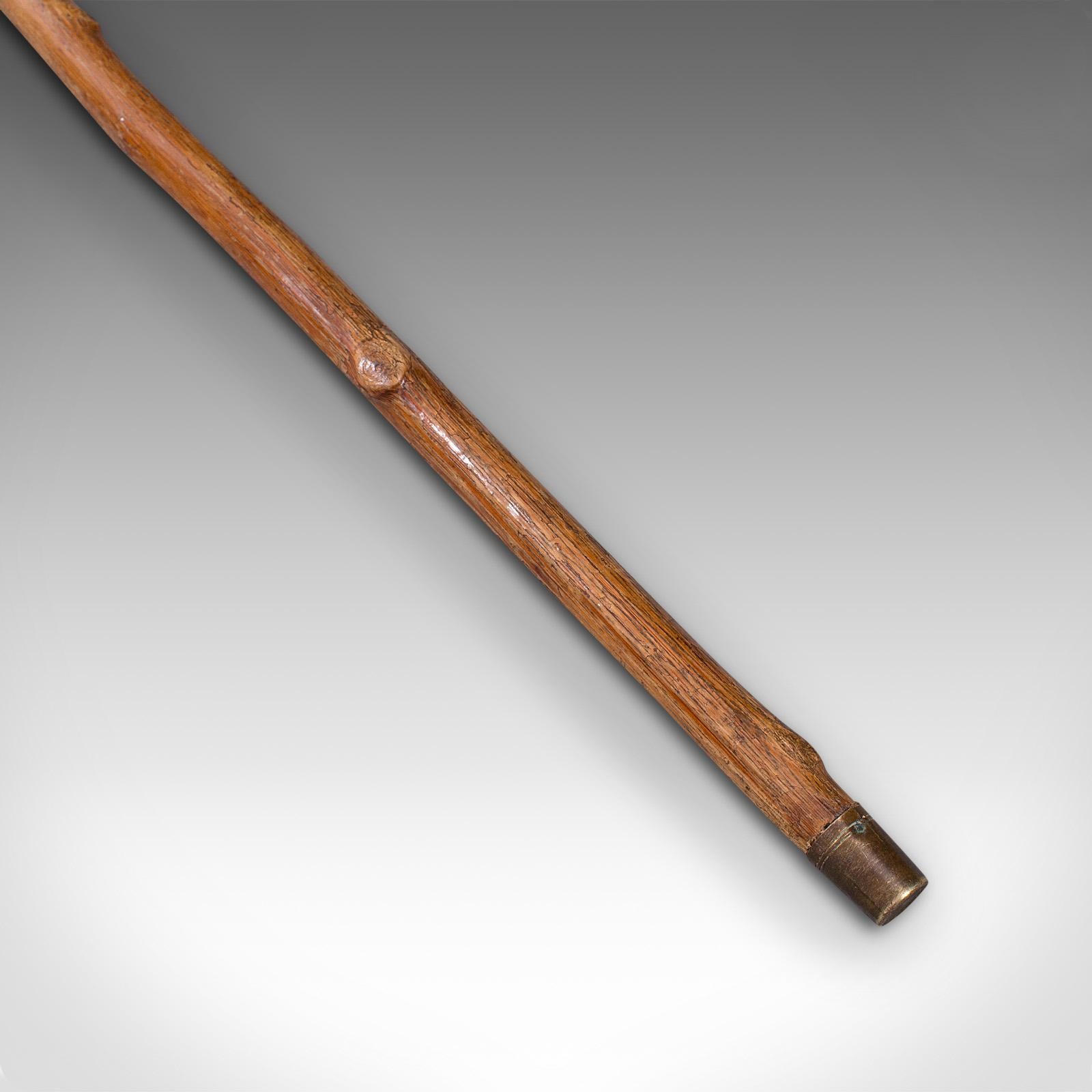 Antique Gentleman's Walking Stick, German, Cane, Black Forest, Edwardian, C.1910 2