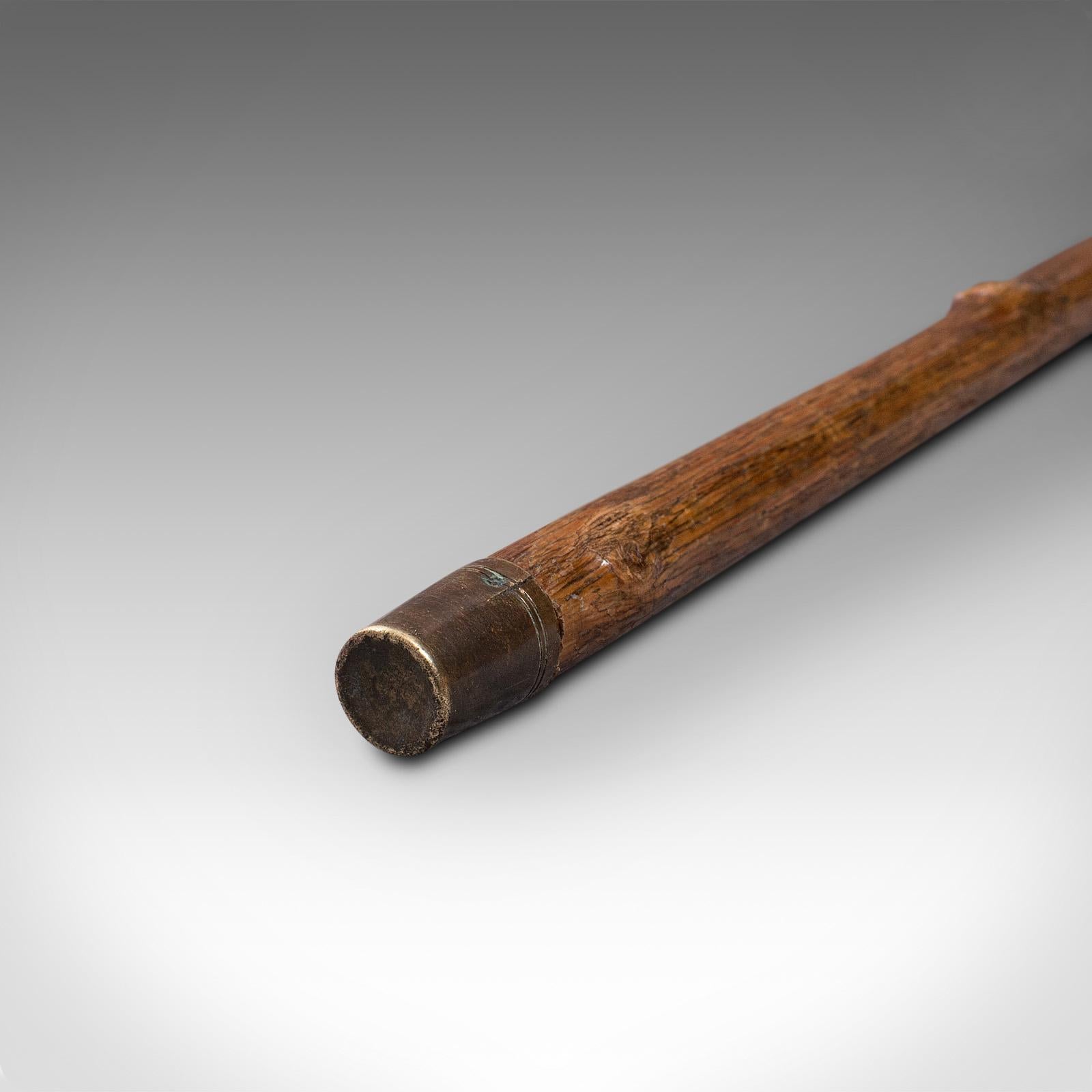 Antique Gentleman's Walking Stick, German, Cane, Black Forest, Edwardian, C.1910 3