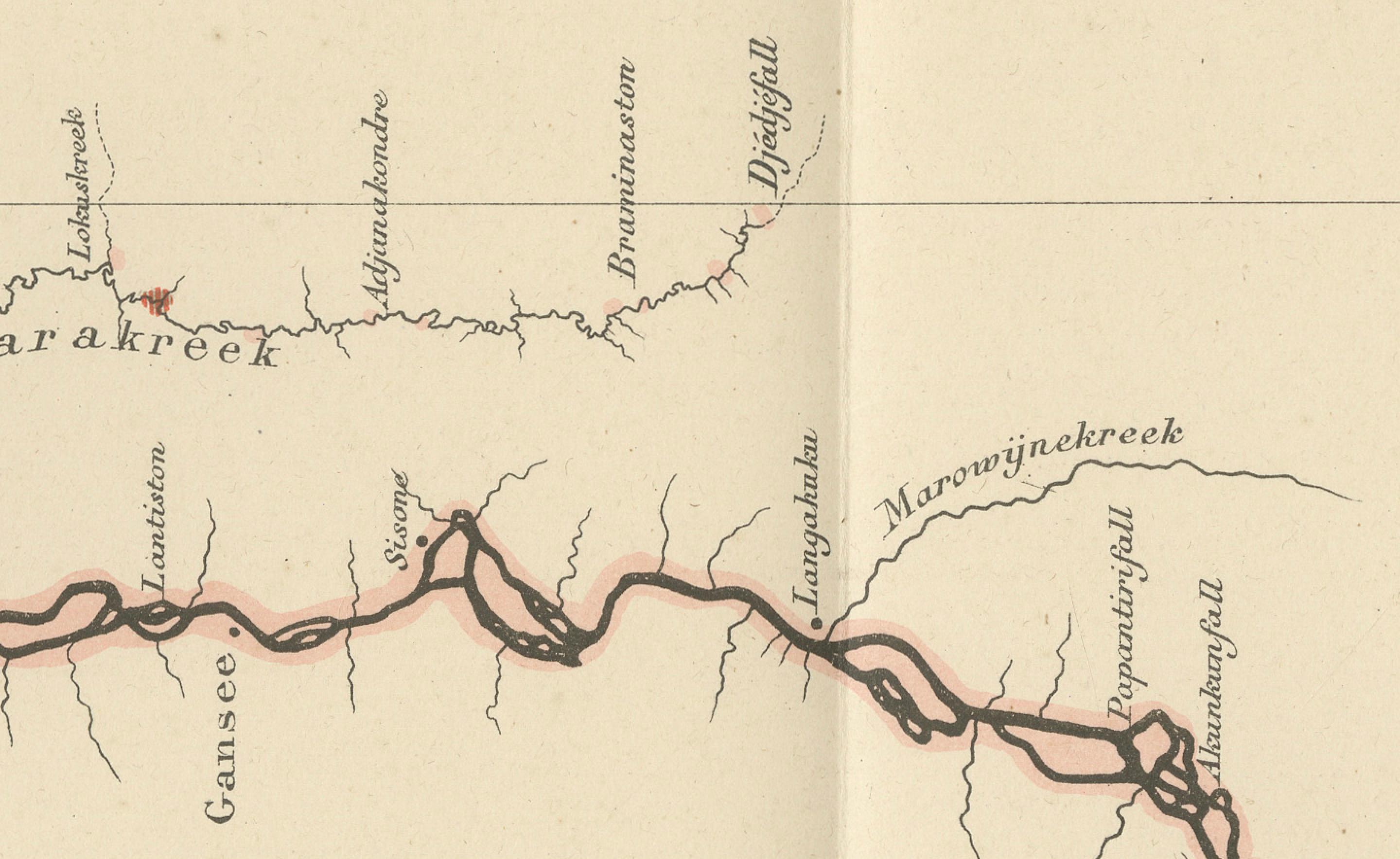 German Antique Geological Survey Map of Surinam 1888 Hand Colored, Rare For Sale