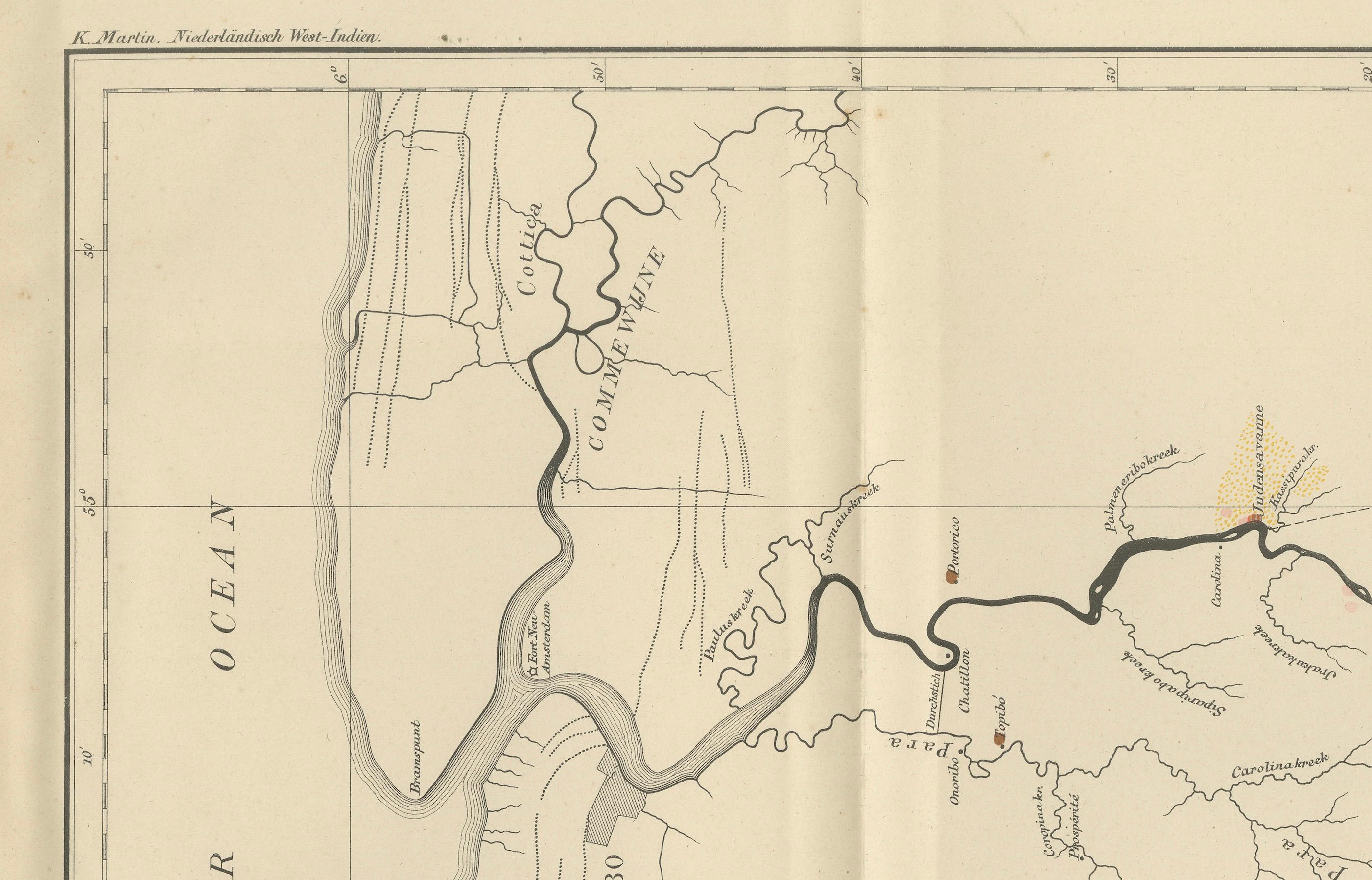 Antique Geological Survey Map of Surinam 1888 Hand Colored, Rare For Sale 2