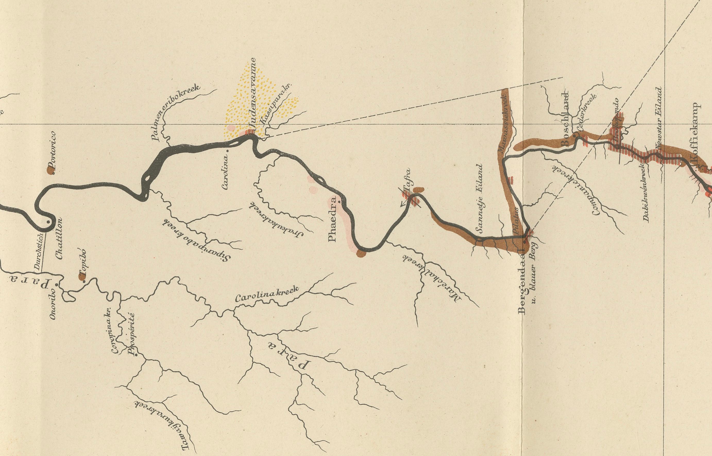 Antique Geological Survey Map of Surinam 1888 Hand Colored, Rare For Sale 3