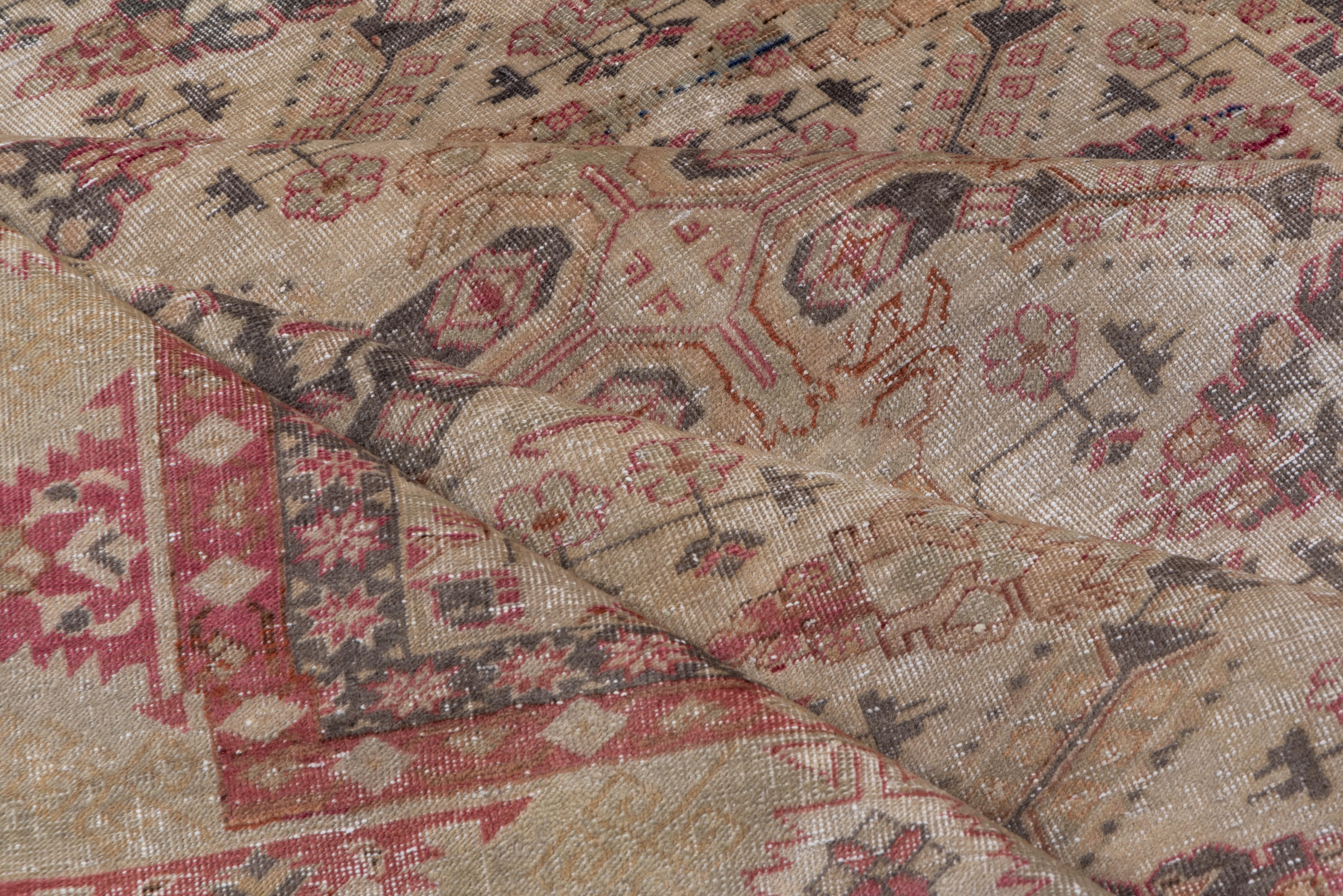 This east Anatolian city carpet on cotton with a medium weave, shows a Zeychur/St. Andrew's multiplied into an allover lattice, on an ecru/green ground. Kuba-style border with serrated offset facing triangles in tones of pink and dark gray. Star