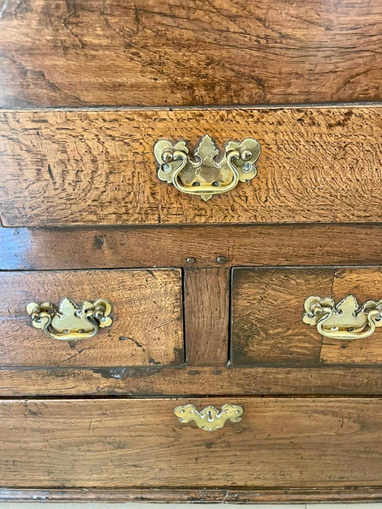 Antique I Quality Oak Livery Cupboard For Sale at 1stDibs