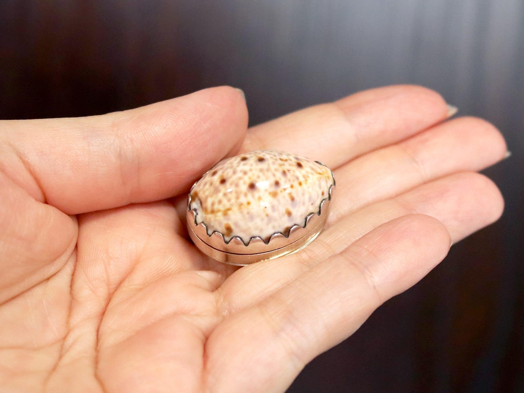 Antike Vinaigrette aus Kaurimuschel und Sterlingsilber von Georg III. (1809) (George III.) im Angebot