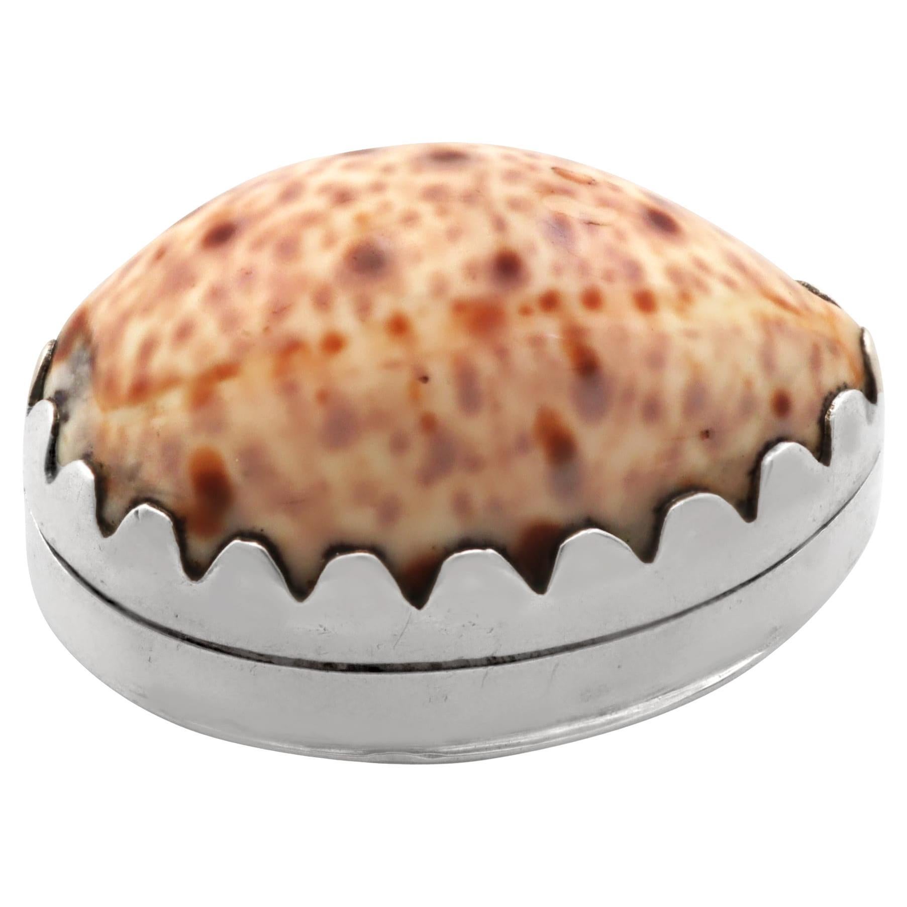 Antique George III Cowrie Shell and Sterling Silver Vinaigrette (1809)