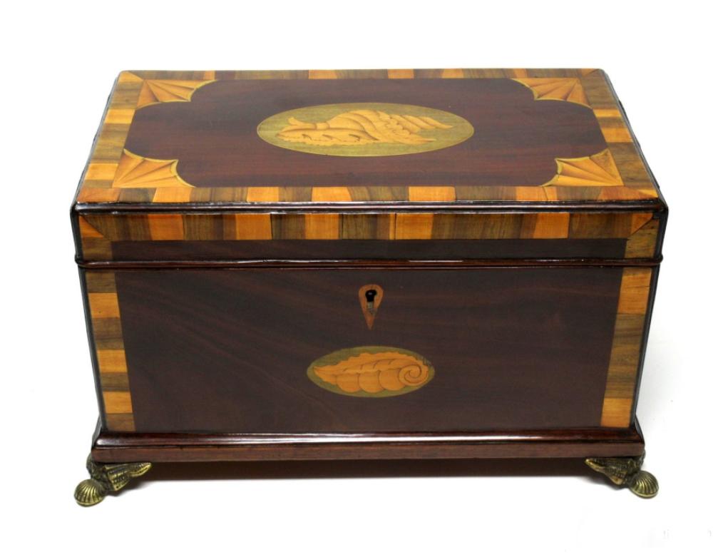 Georgian Antique George III Mahogany Satinwood Inlaid Triple Tea Caddy Conch Shell