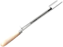 Antique George III Mother of Pearl and Sterling Silver Cheese Scoop (1805)