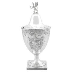 Antiguo jarrón de azúcar de plata de ley de Jorge III de Newcastle (circa 1785)