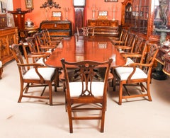 Antique George III Regency Dining Table 19th C with 10 Dining Armchairs