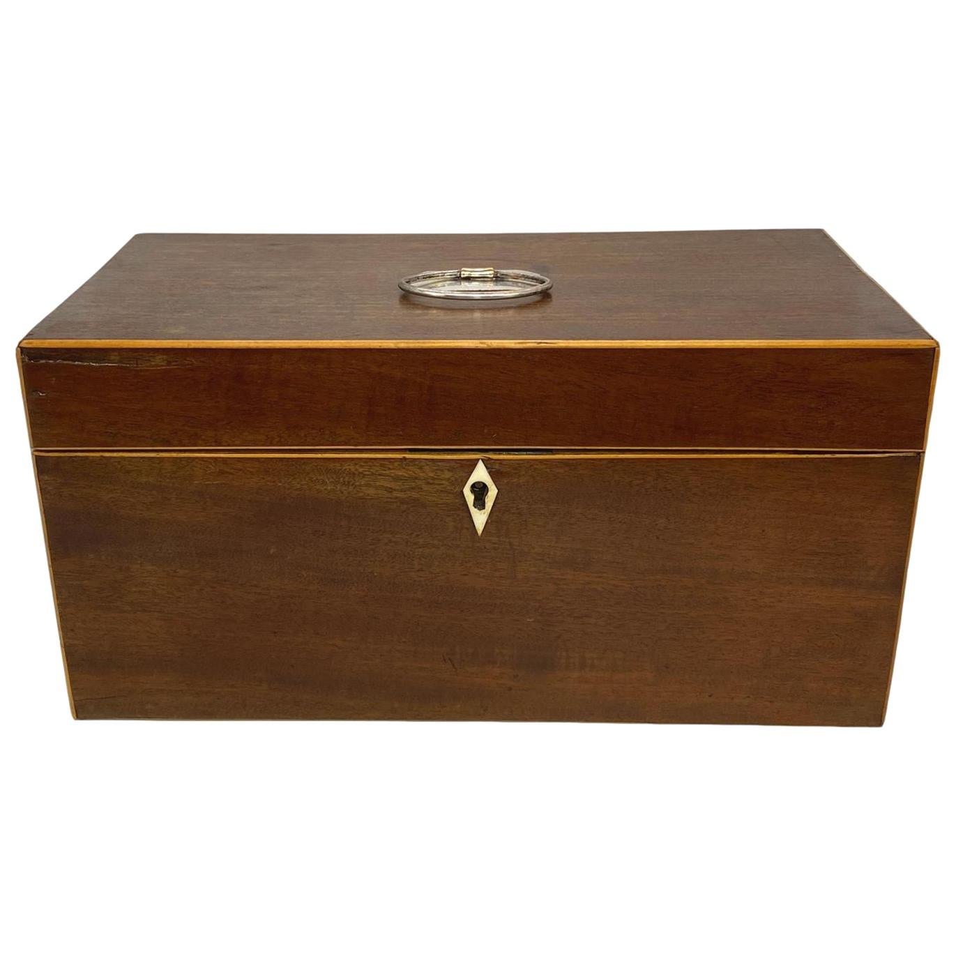 Antique III Tea Caddy Box, Mahogany and Satinwood Banding