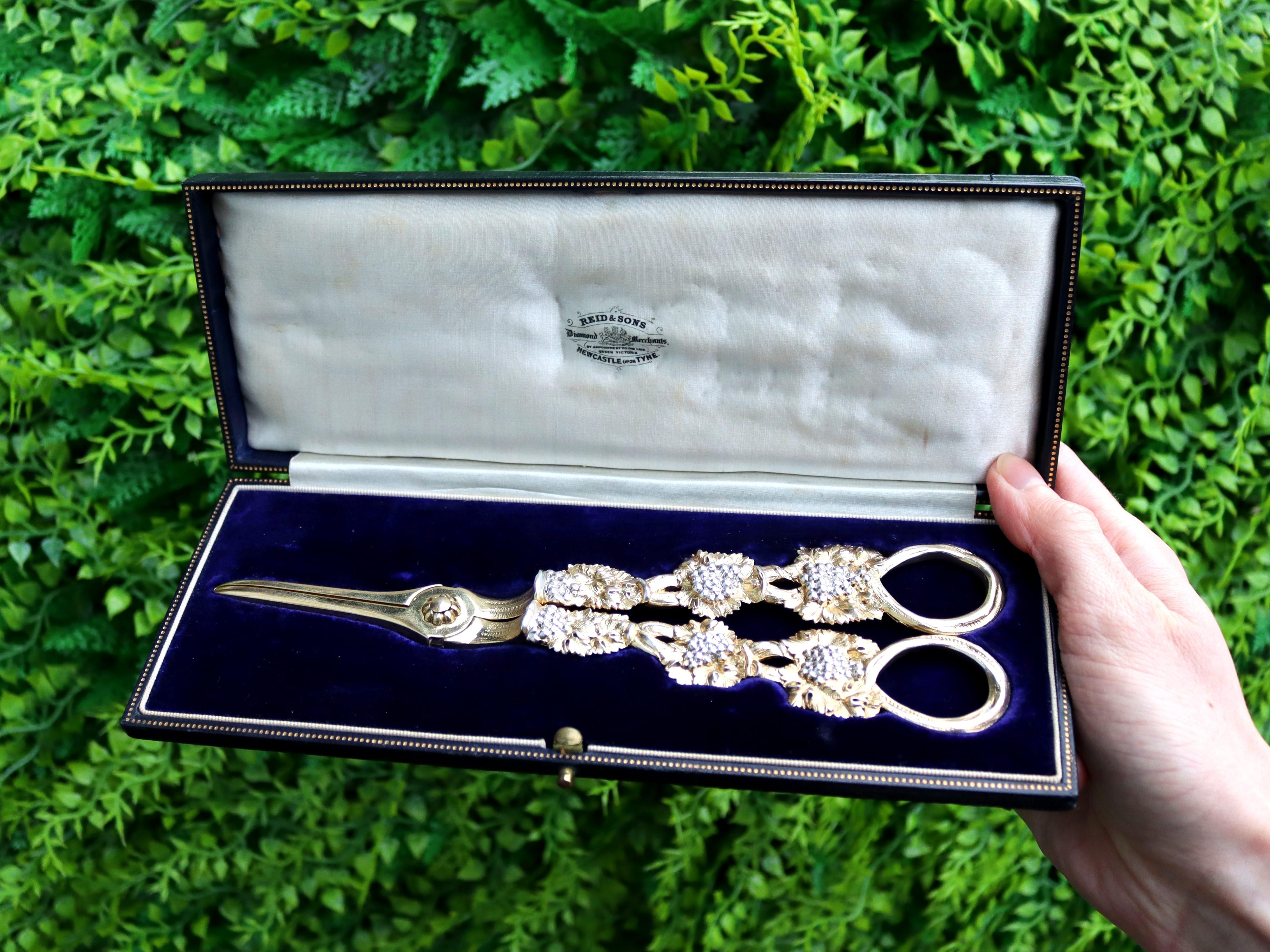An exceptional, fine and impressive pair of antique George IV English sterling silver gilt grape shears - boxed; an addition to our silver flatware collection.

This exceptional pair of antique cast sterling silver gilt grape shears has a hinged