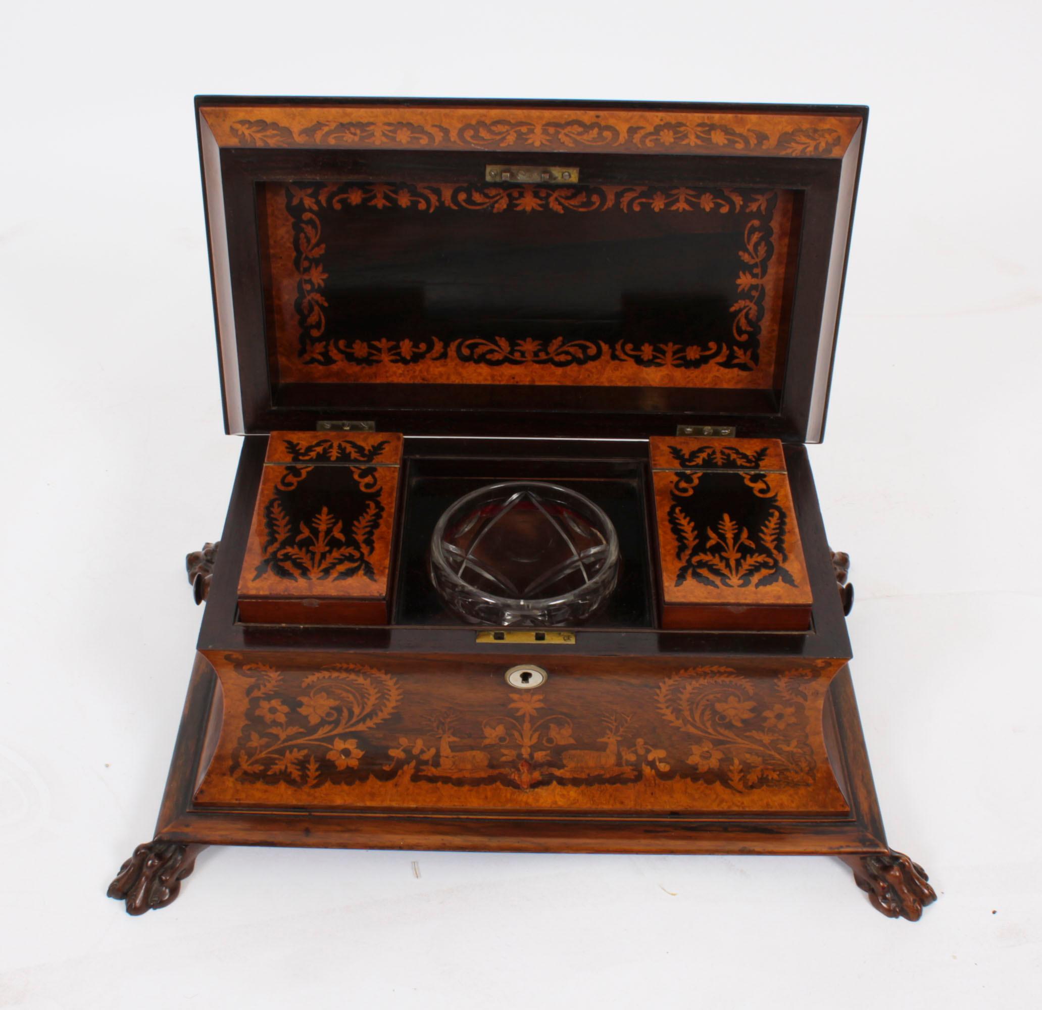 Antique George IV Gonçalo Alves & Amboyna Marquetry Tea Caddy C1825 19th Century For Sale 7