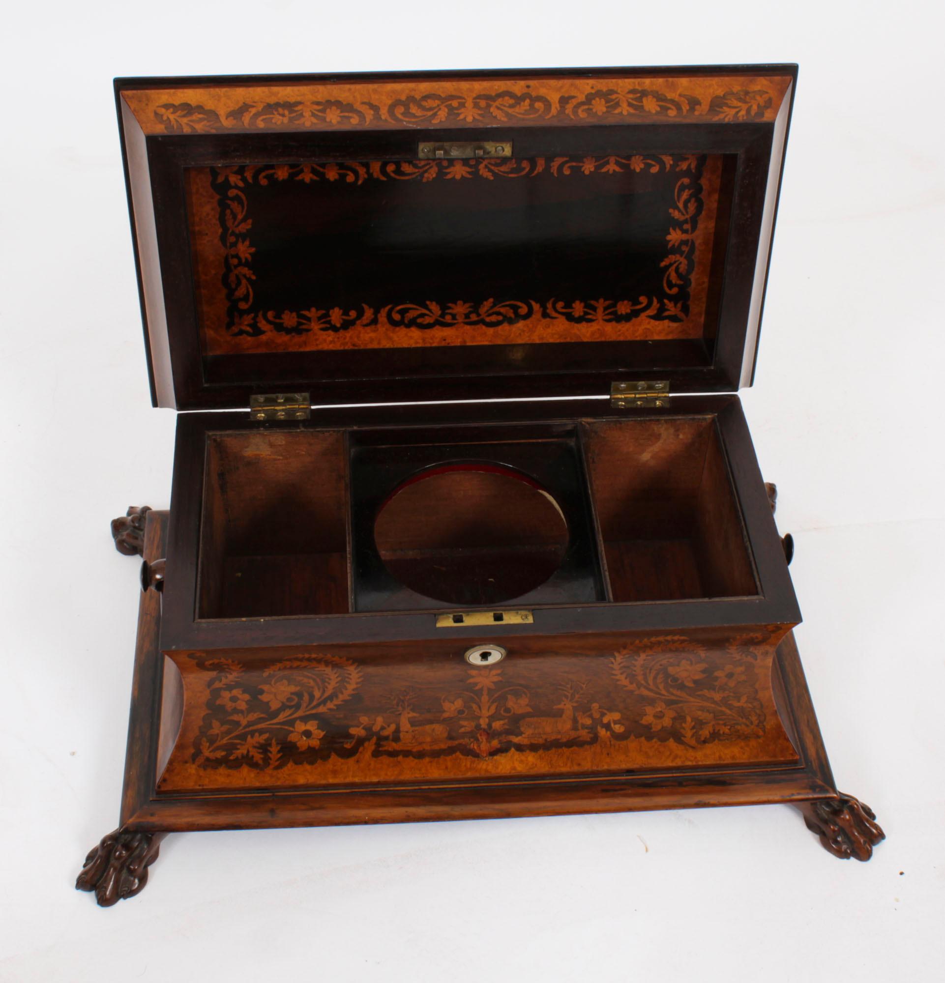 Ancienne boîte à thé George IV en marqueterie de Gonçalo Alves et Amboyna C1825 19ème siècle en vente 9