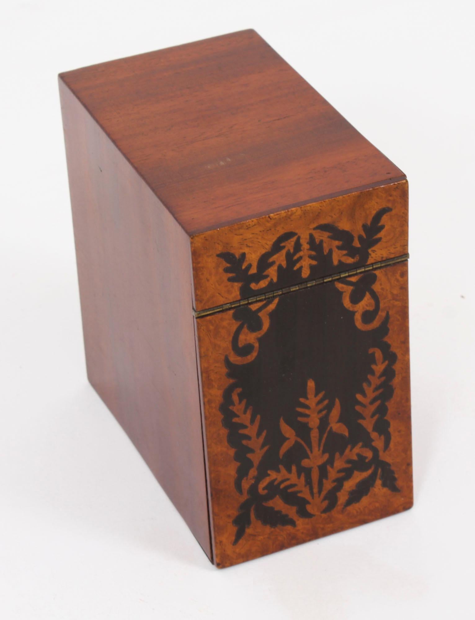 Ancienne boîte à thé George IV en marqueterie de Gonçalo Alves et Amboyna C1825 19ème siècle en vente 11