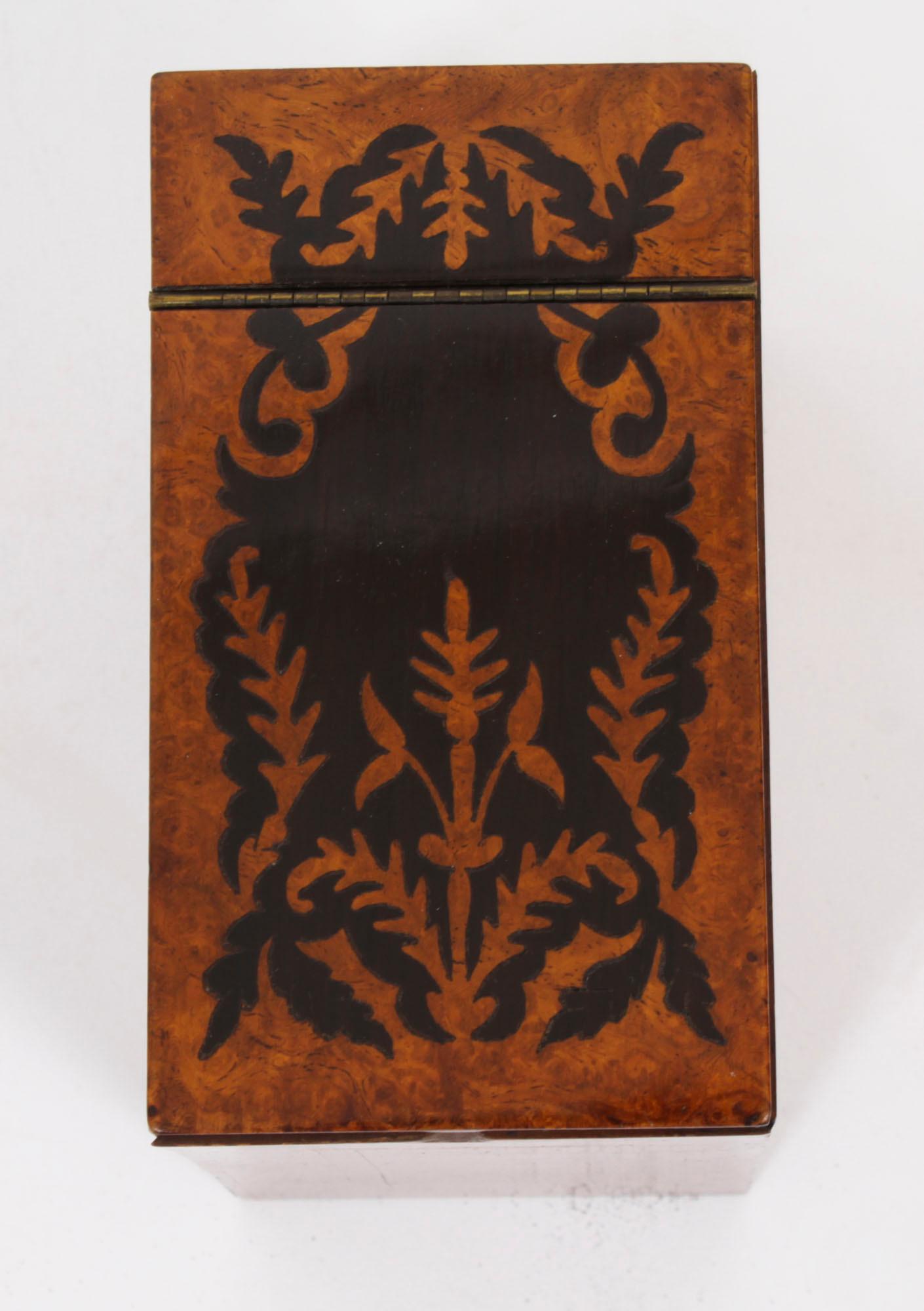 Antique George IV Gonçalo Alves & Amboyna Marquetry Tea Caddy C1825 19th Century For Sale 13