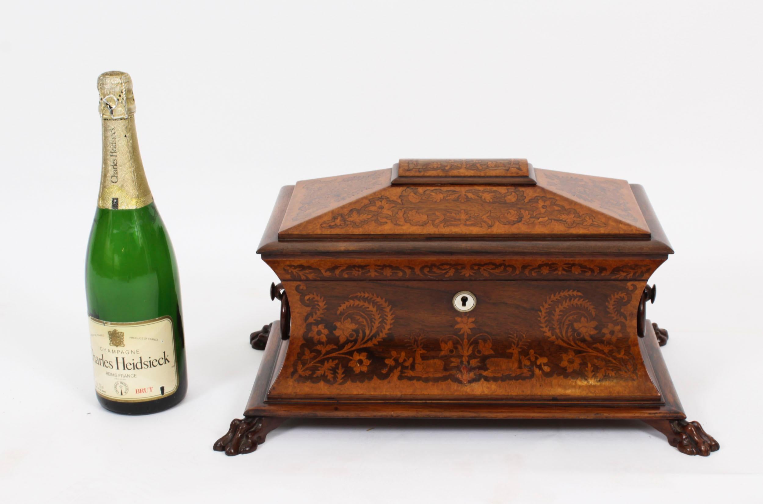Ancienne boîte à thé George IV en marqueterie de Gonçalo Alves et Amboyna C1825 19ème siècle en vente 14