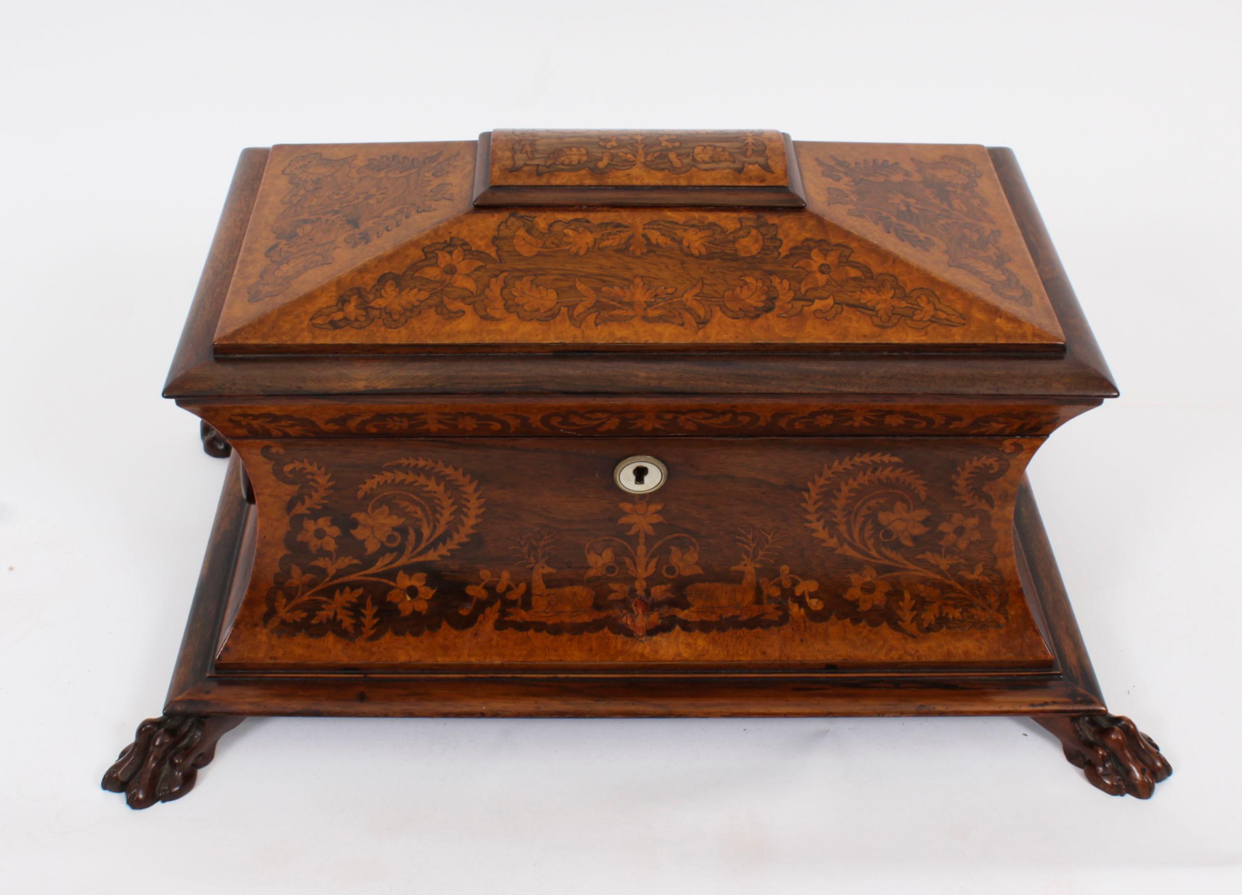 This is an exquisite antique George IV Gonçalo Alves and amboyna marquetry inlaid tea caddy, circa 1825 in date.

It is beautifully decorated with superb marquetry decoration to the Gonçalo Alves and amboyna.

Of sarcophagus form, the lid enclosing