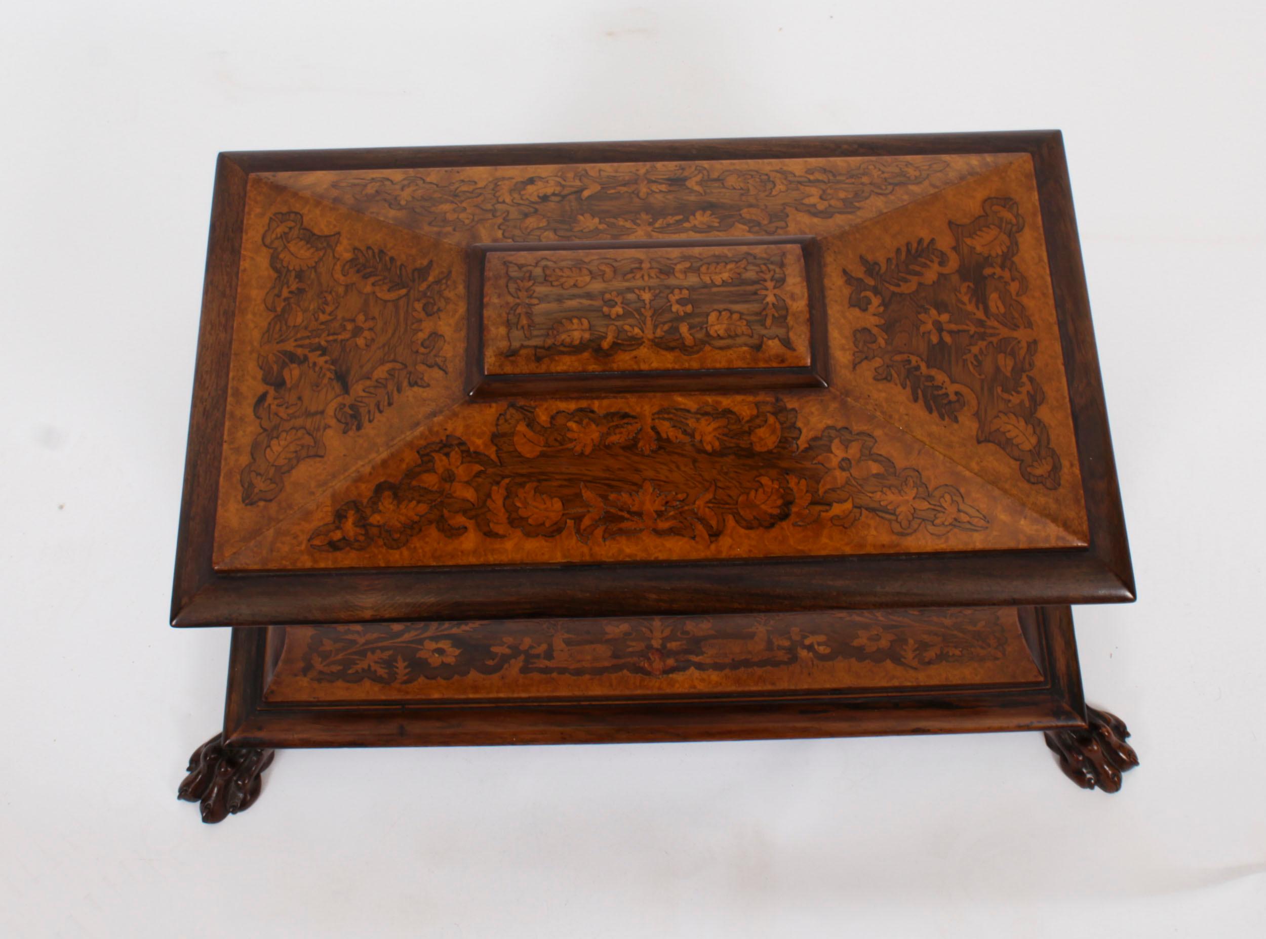 Antique George IV Gonçalo Alves & Amboyna Marquetry Tea Caddy C1825 19th Century In Good Condition For Sale In London, GB
