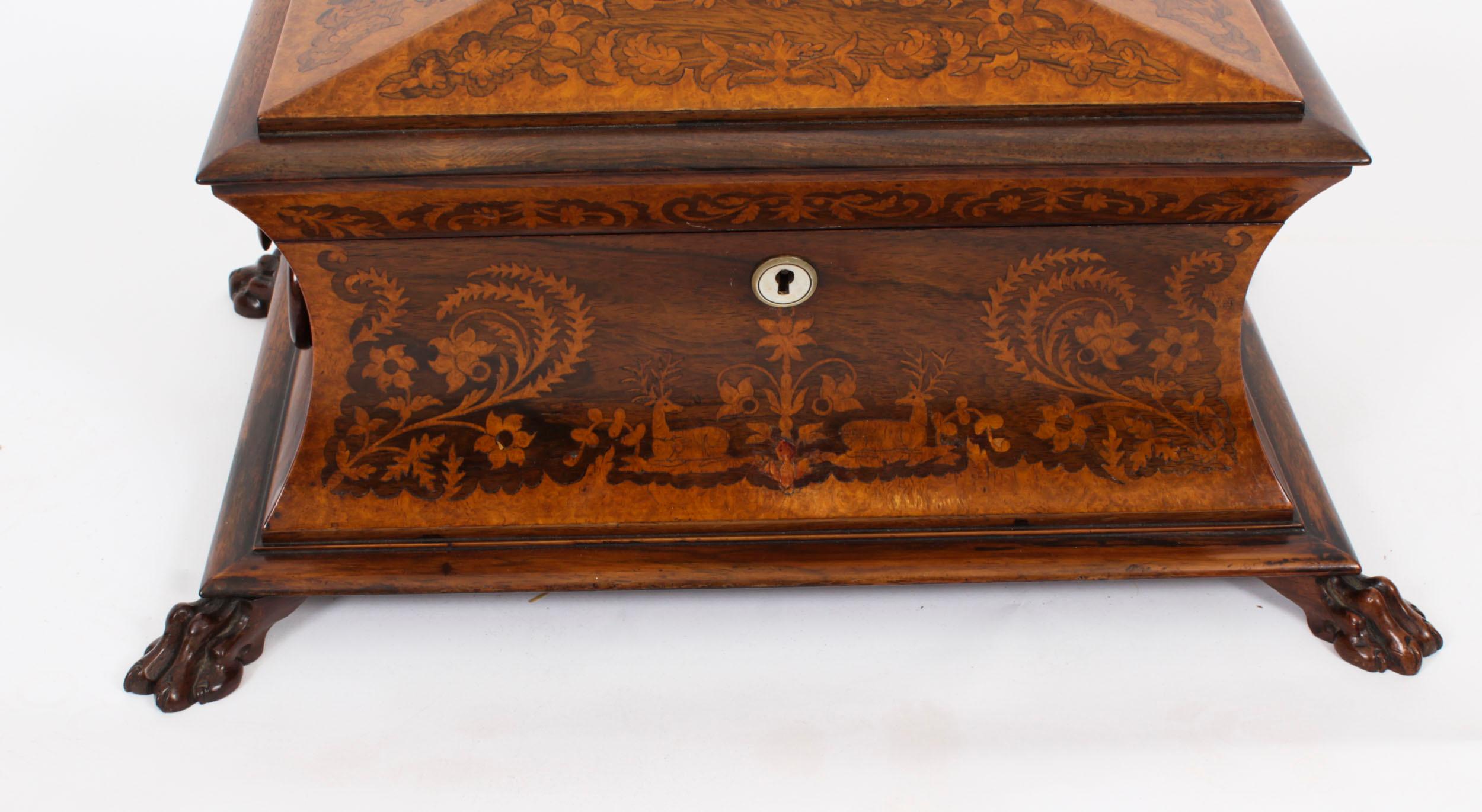 Early 19th Century Antique George IV Gonçalo Alves & Amboyna Marquetry Tea Caddy C1825 19th Century For Sale