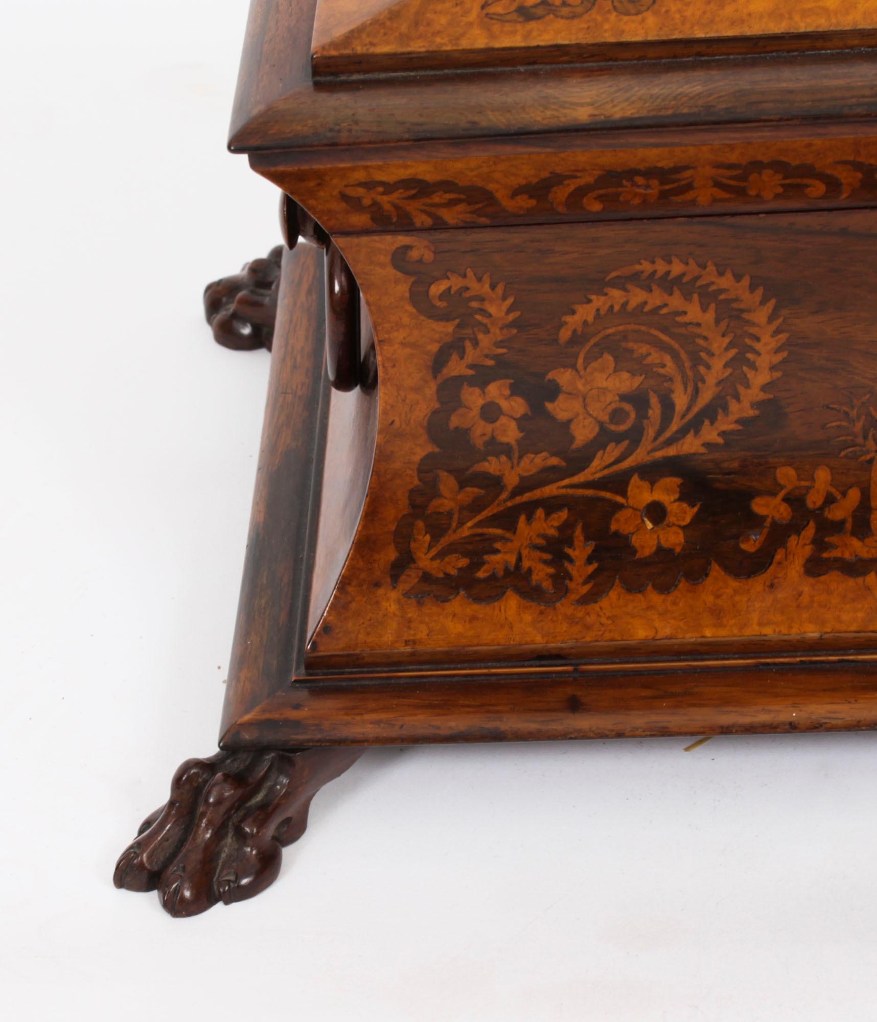 Antique George IV Gonçalo Alves & Amboyna Marquetry Tea Caddy C1825 19th Century For Sale 1