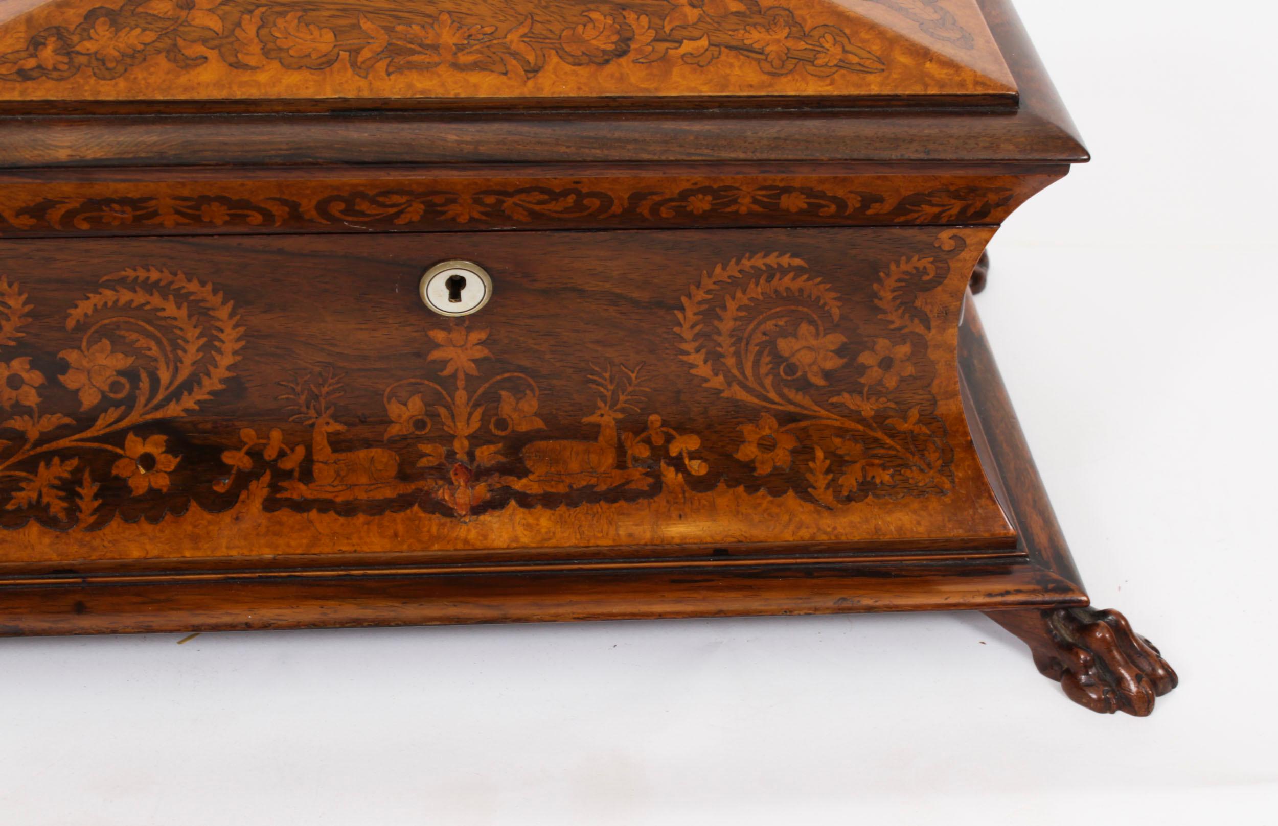 Antique George IV Gonçalo Alves & Amboyna Marquetry Tea Caddy C1825 19th Century For Sale 2