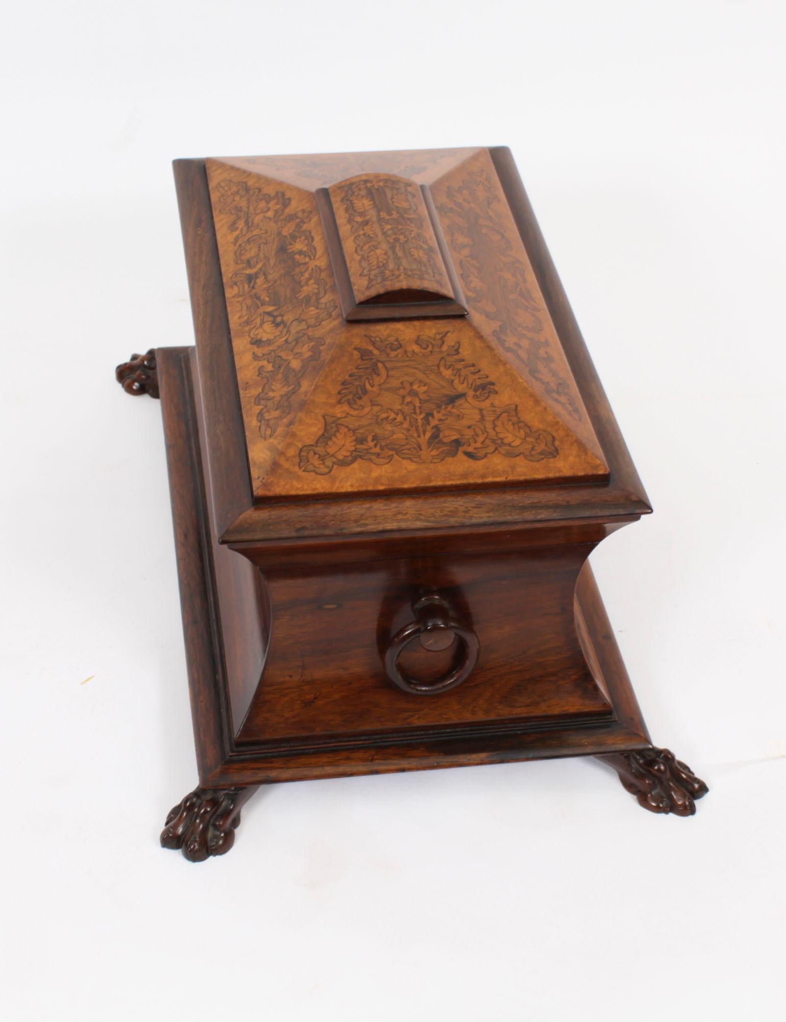 Antique George IV Gonçalo Alves & Amboyna Marquetry Tea Caddy C1825 19th Century For Sale 4