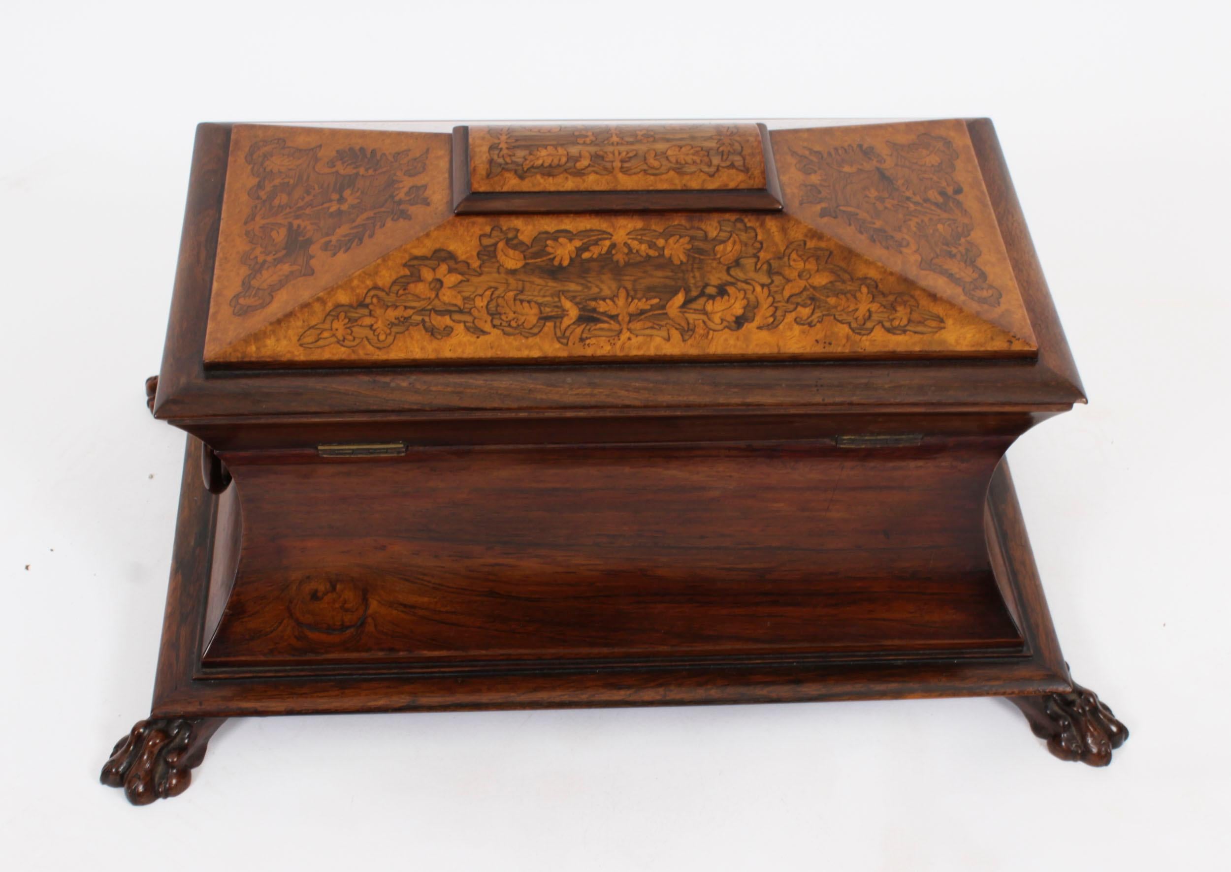 Antique George IV Gonçalo Alves & Amboyna Marquetry Tea Caddy C1825 19th Century For Sale 5