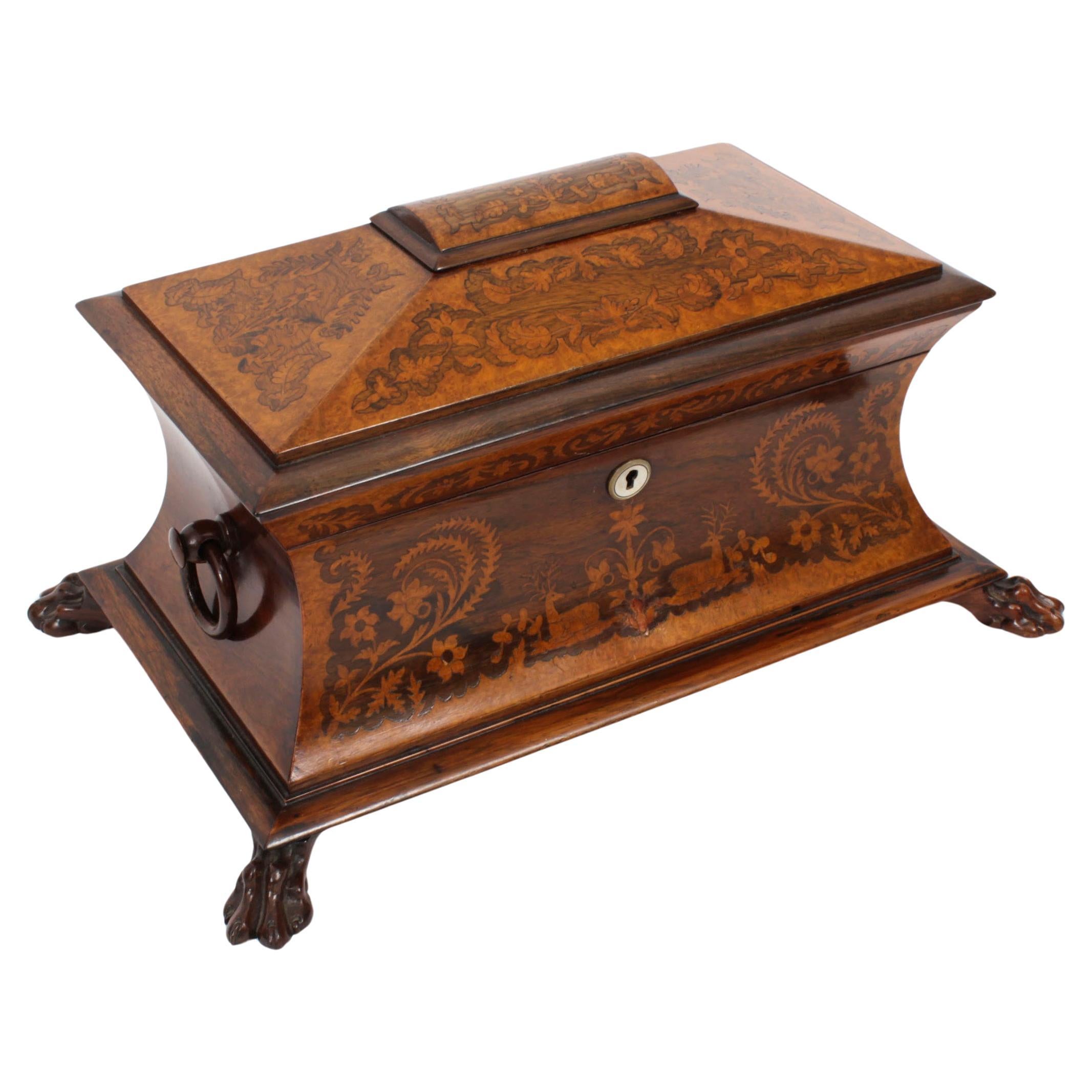 Antique George IV Gonçalo Alves & Amboyna Marquetry Tea Caddy C1825 19th Century For Sale