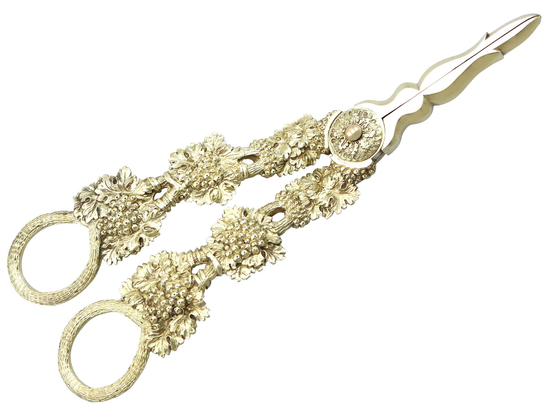 An exceptional, fine and impressive pair of antique George IV English sterling silver gilt grape shears - boxed; an addition to our silver flatware collection

This exceptional pair of antique sterling silver gilt grape shears has a hinged scissor