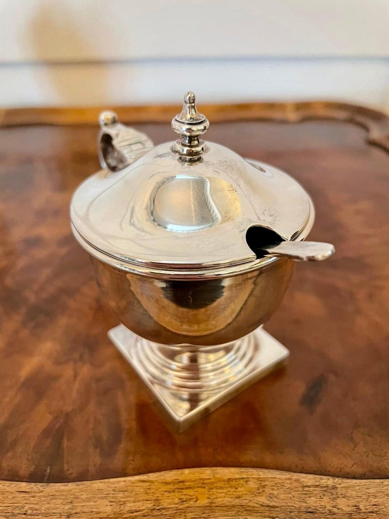 Antique V Cased 4Piece Sterling Silver Condiment Set, Viners