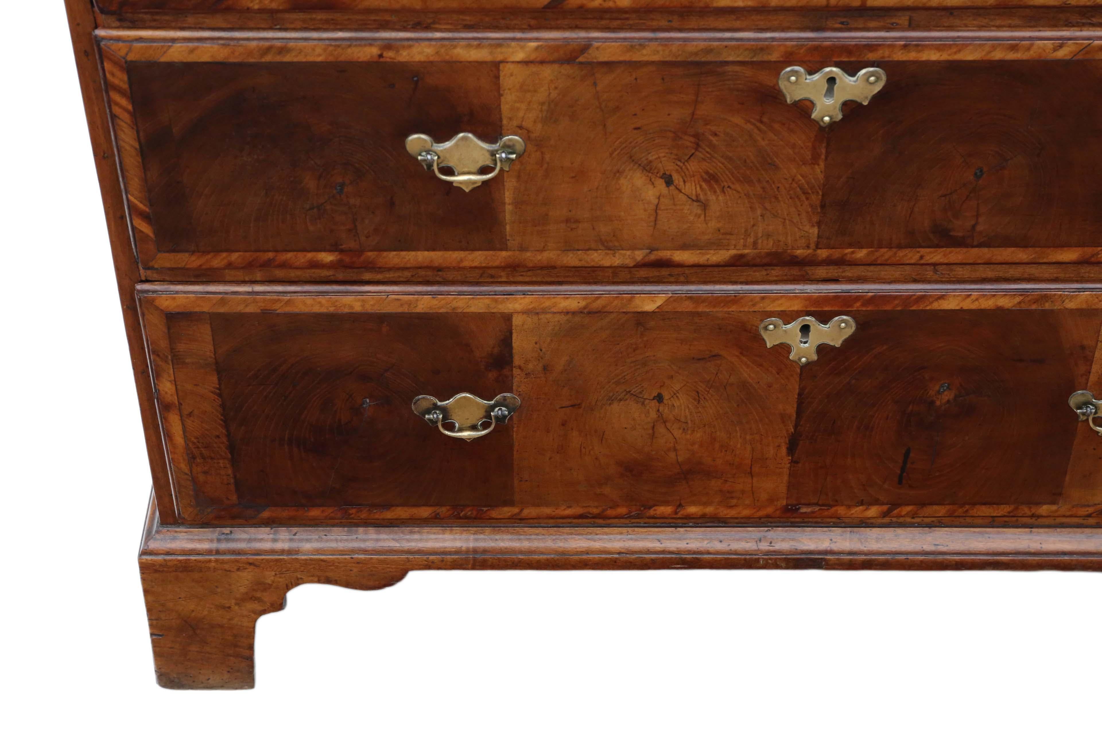 Antique Georgian 18th Century Oyster Walnut and Fruitwood Chest of Drawers For Sale 1