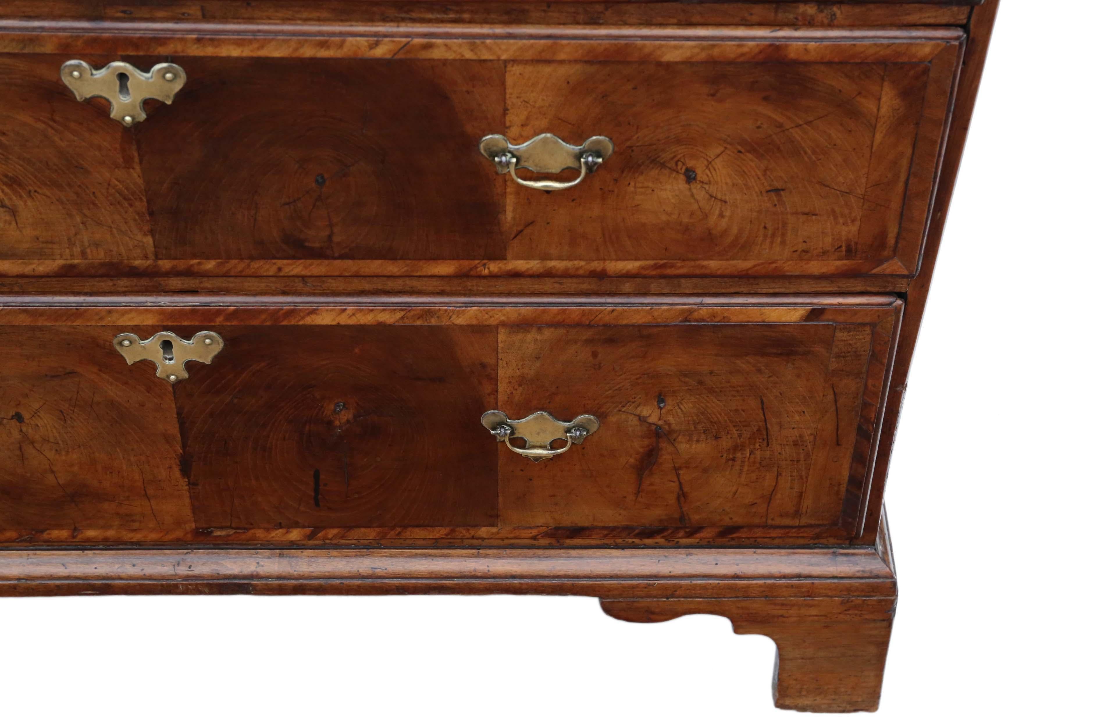 Antique Georgian 18th Century Oyster Walnut and Fruitwood Chest of Drawers For Sale 3