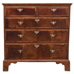 Antique Georgian 18th Century Oyster Walnut and Fruitwood Chest of Drawers