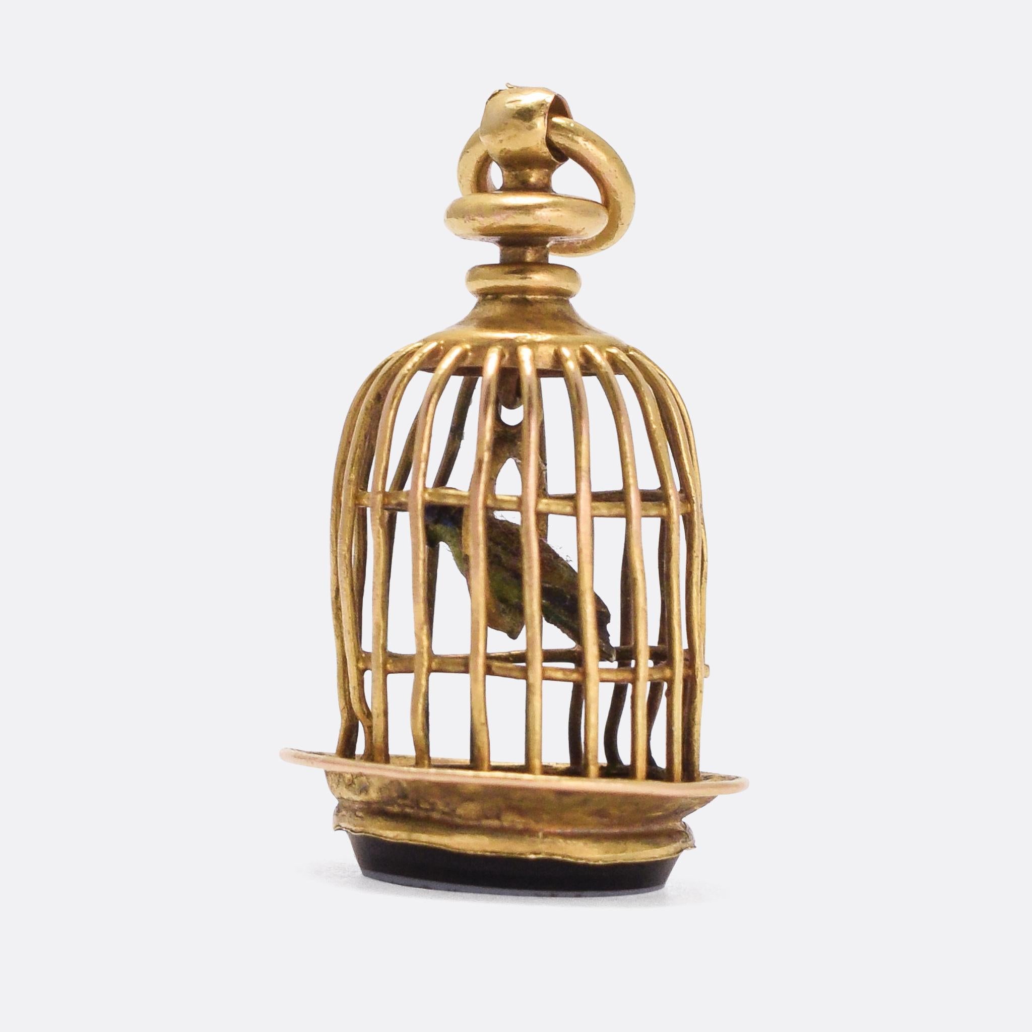 caged bird seal