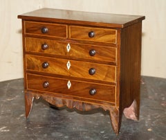 ANTIQUE GEORGIAN CIRCA 1780-1820 SEASHELL SPECIMEN COLLECTORS CHEST OF DRAWERs