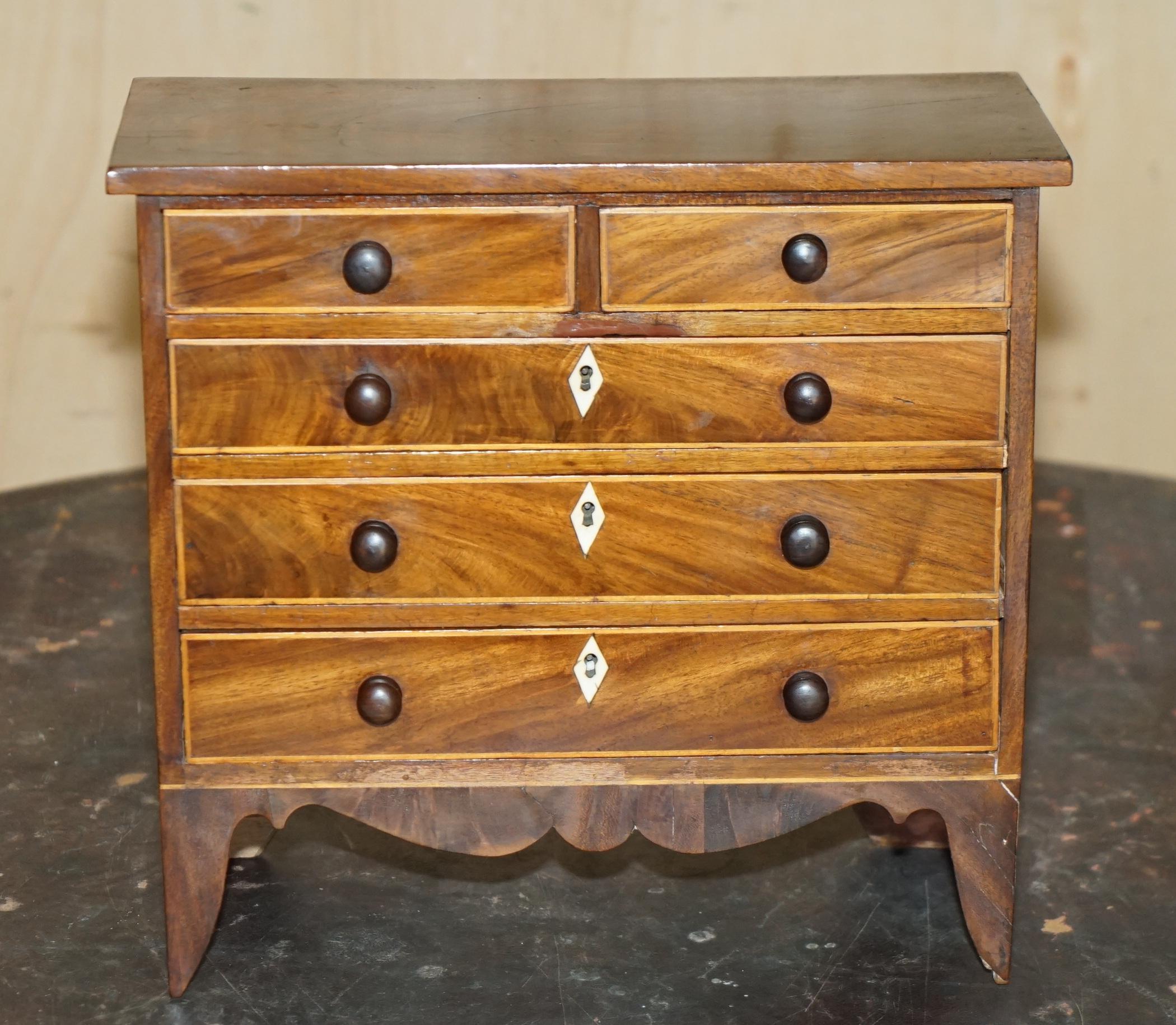 COFRE DE COLECCIONISTA ANTIGUO GEORGIANO CIRCA 1780-1820 ESPECIMEN DE CONCHA Georgiano en venta