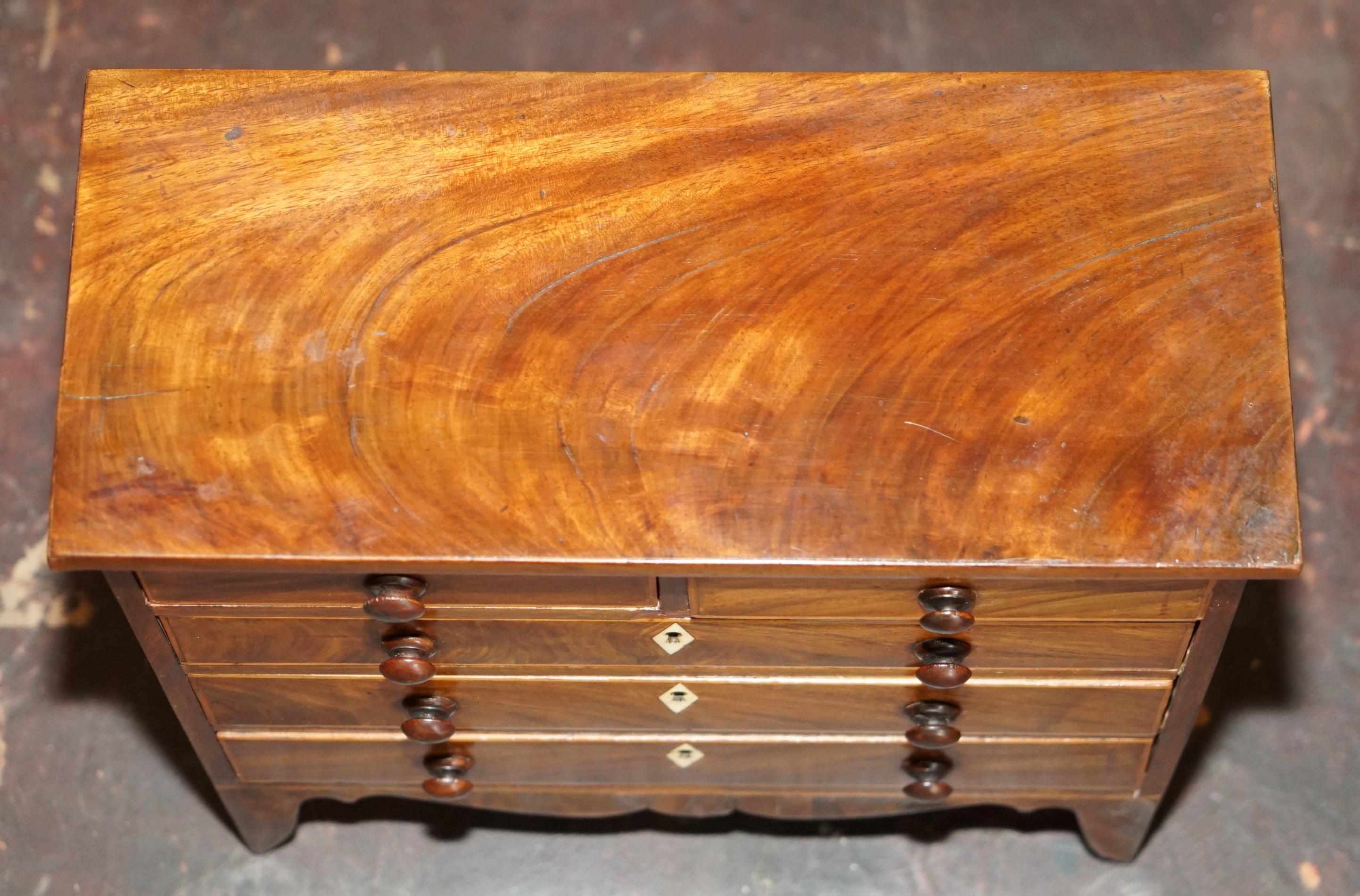 COFRE DE COLECCIONISTA ANTIGUO GEORGIANO CIRCA 1780-1820 ESPECIMEN DE CONCHA en Bueno estado para la venta en West Sussex, Pulborough