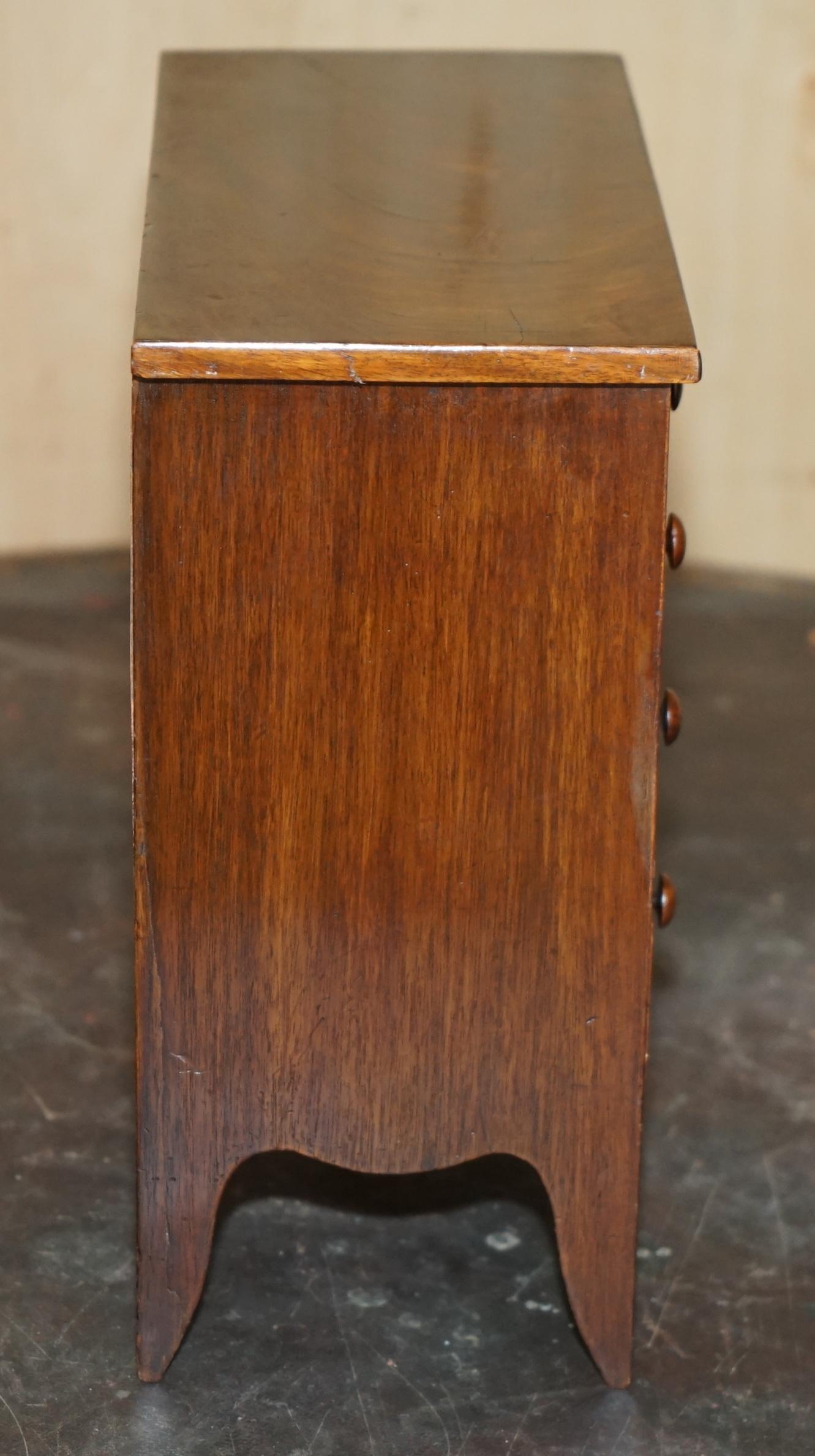 COFRE DE COLECCIONISTA ANTIGUO GEORGIANO CIRCA 1780-1820 ESPECIMEN DE CONCHA finales del siglo XVIII en venta