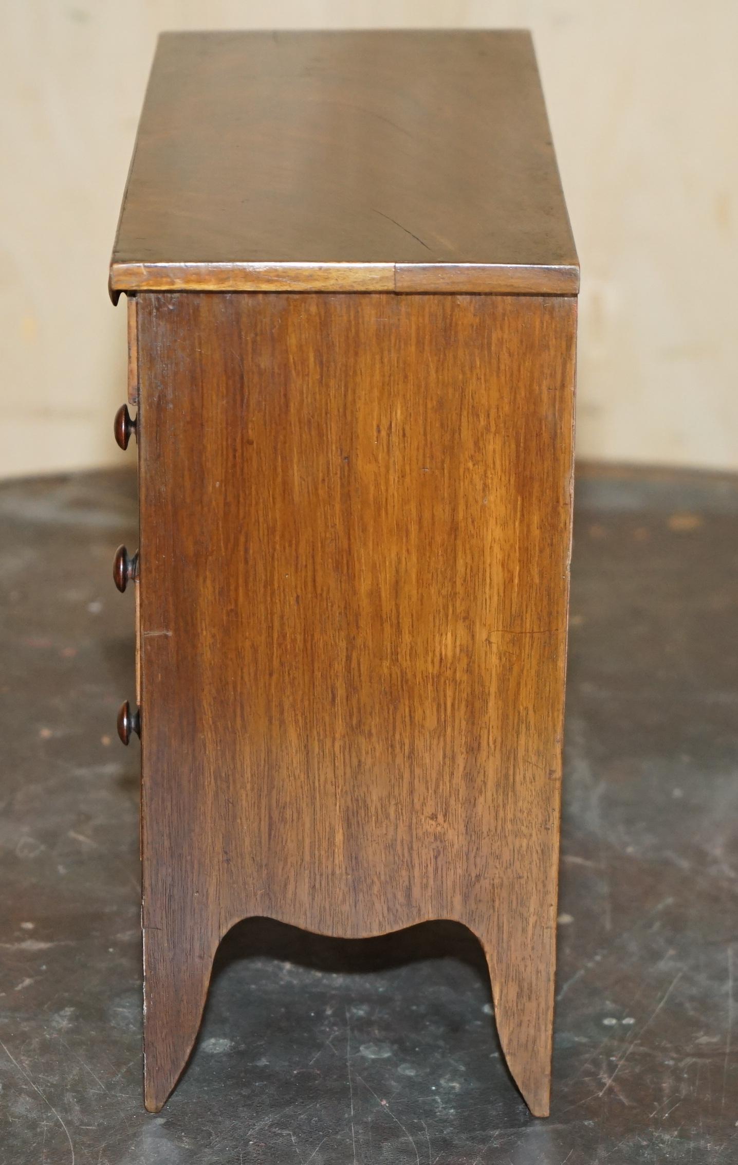 COFRE DE COLECCIONISTA ANTIGUO GEORGIANO CIRCA 1780-1820 ESPECIMEN DE CONCHA en venta 1