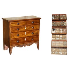 ANTIQUE GEORGIAN CIRCA 1780-1820 SEASHELL SPECIMEN COLLECTORS CHEST OF DRAWERs