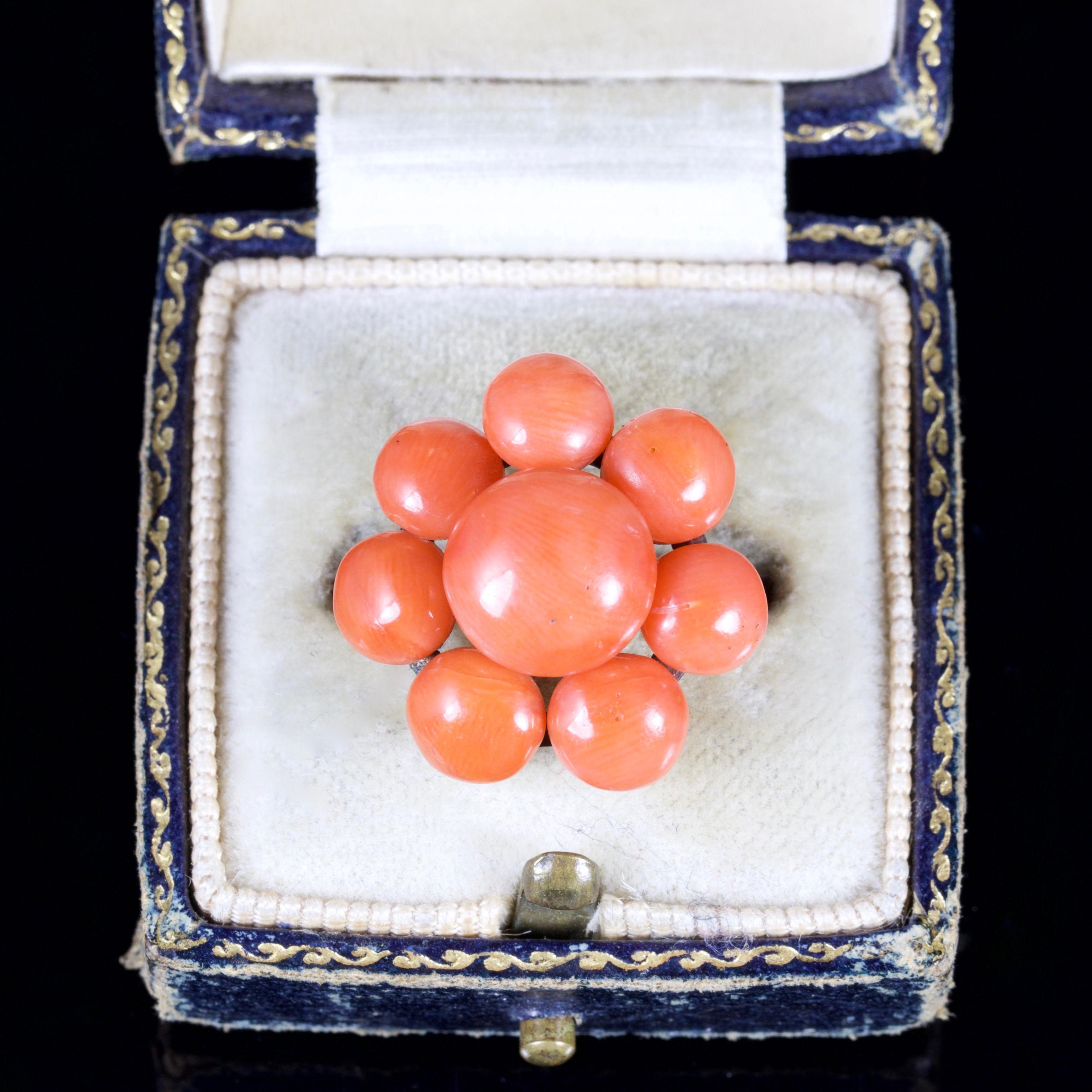 Antique Georgian Coral Cluster Ring 18 Carat Gold, circa 1800 For Sale 2