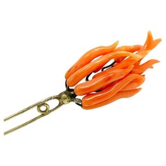 Antique Georgian Coral Hair Slide Pin Brooch