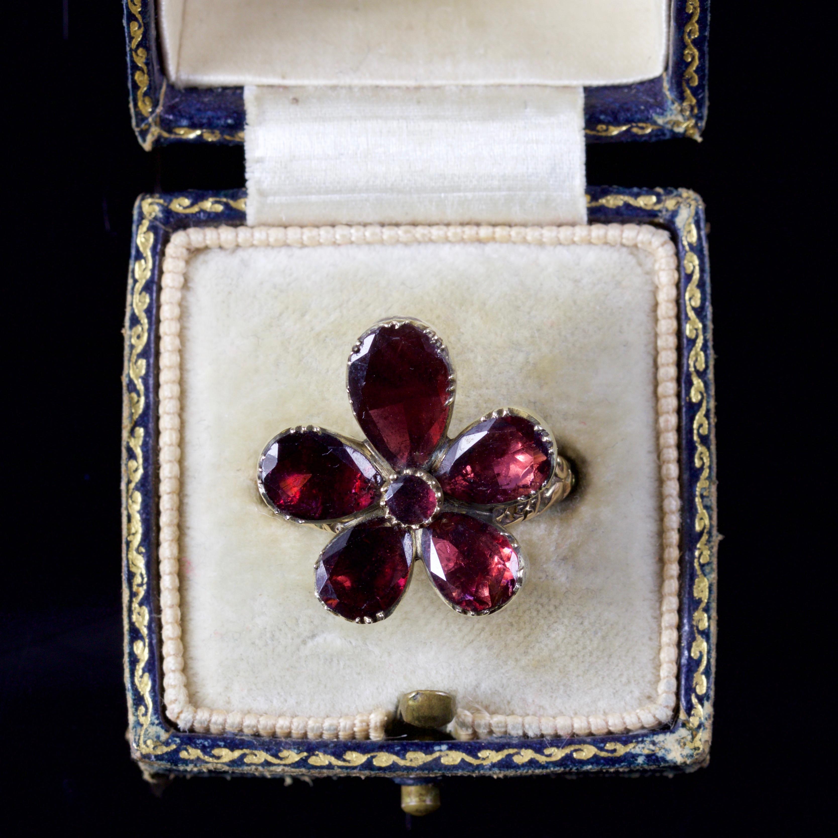 Antique Georgian Flat Cut Garnet Flower Ring 18 Carat Gold, circa 1880 For Sale 2