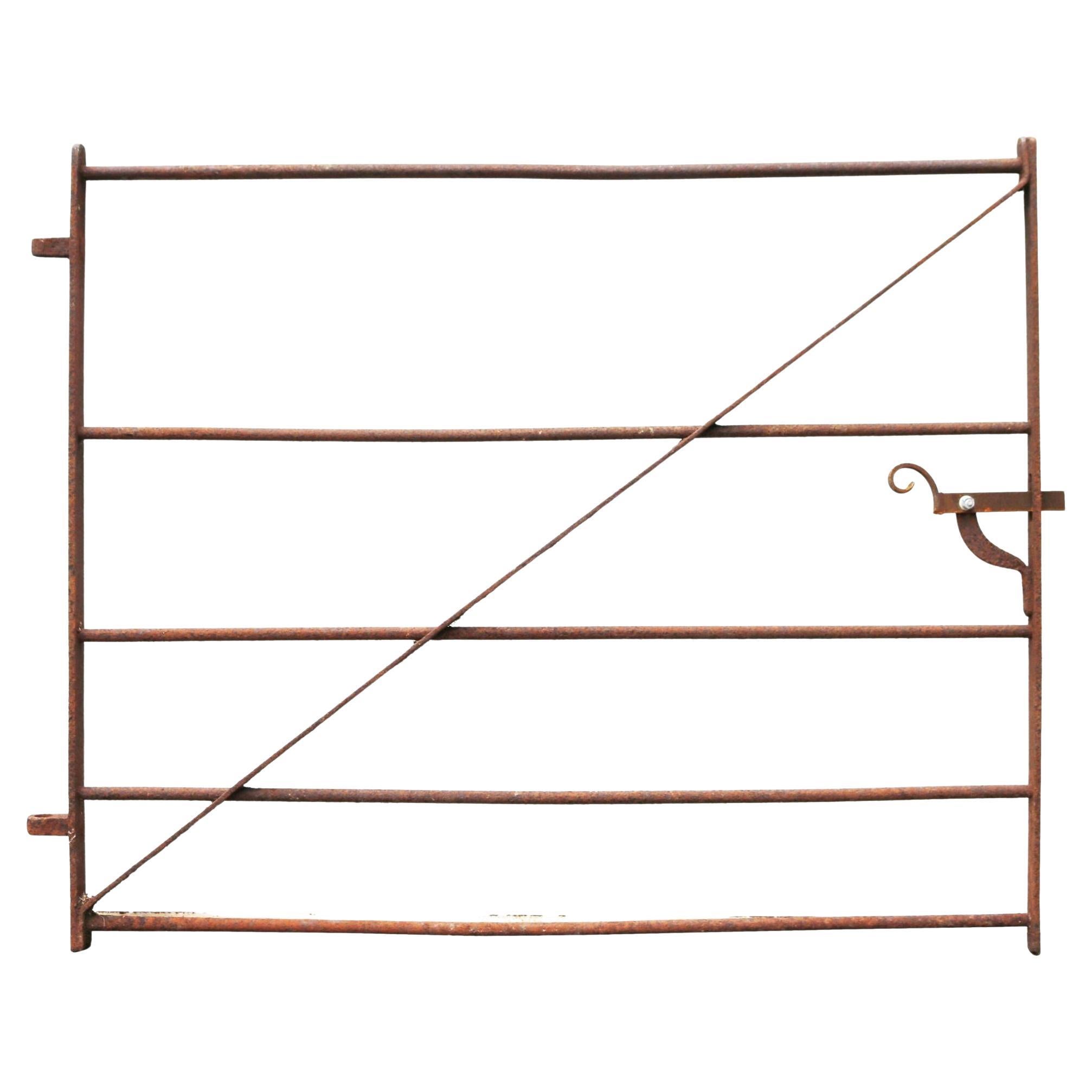 Antique Georgian Garden Gate