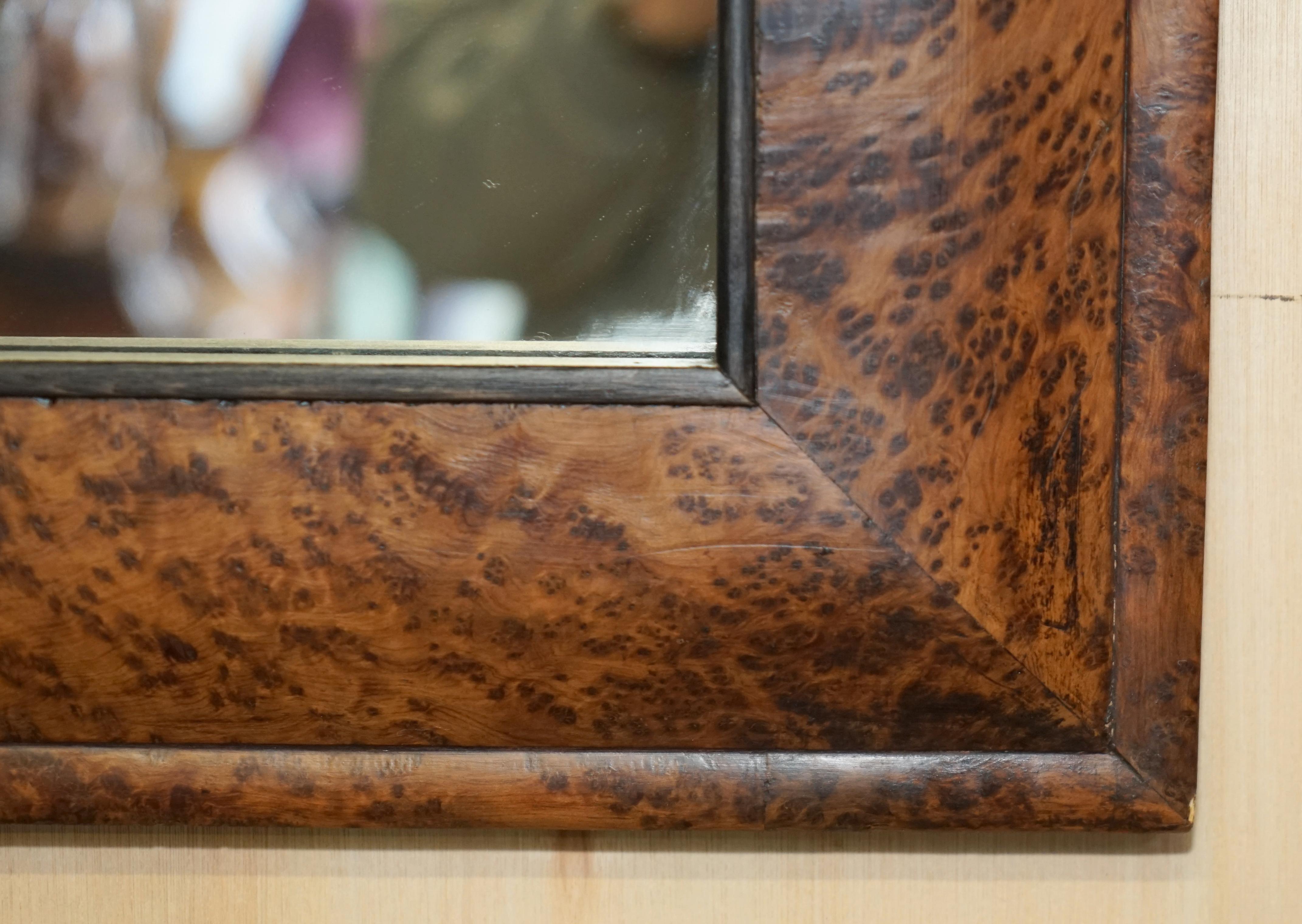 ANTIQUE GEORGIAN HEAVILY BURR BURL AMBOYNA CUSHION FRAMED MIRROR PANELED BACk In Good Condition For Sale In West Sussex, Pulborough