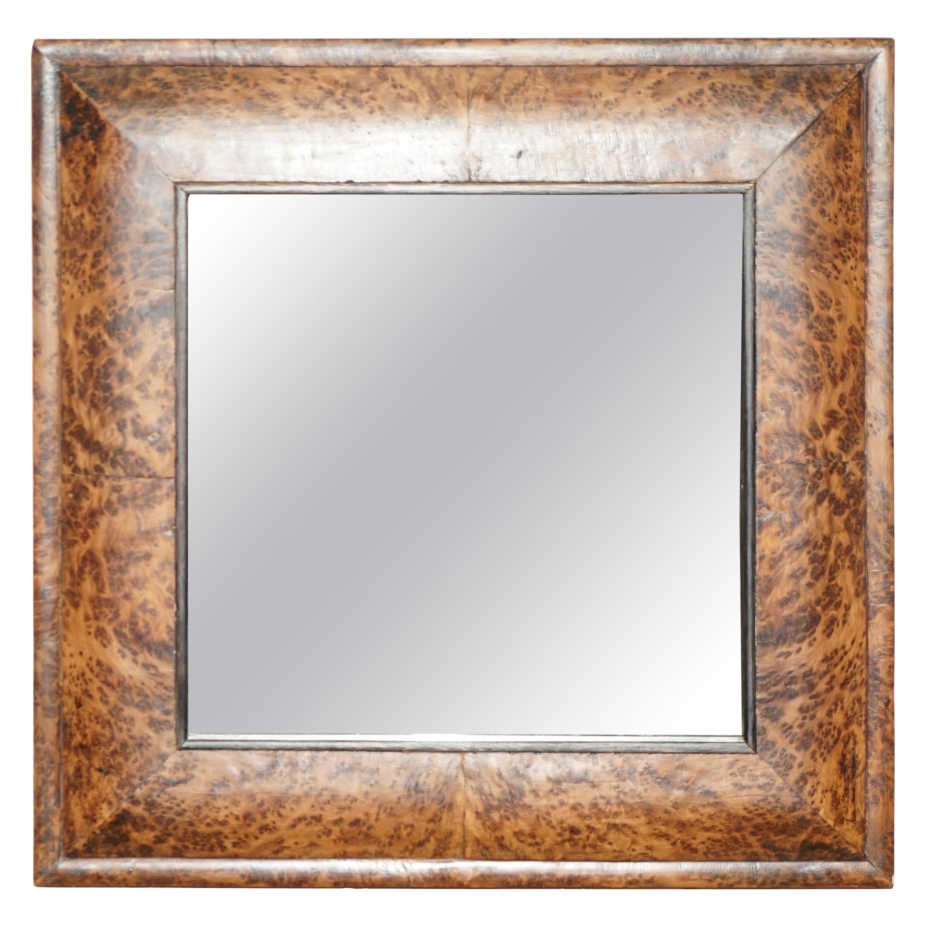 ANTIQUE GEORGIAN HEAVILY BURR BURL AMBOYNA CUSHION FRAMED MIRROR PANELED BACk