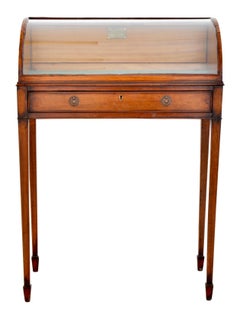 Antique Georgian Hepplewhite Mahogany Display Case/Vitrine George III circa 1780