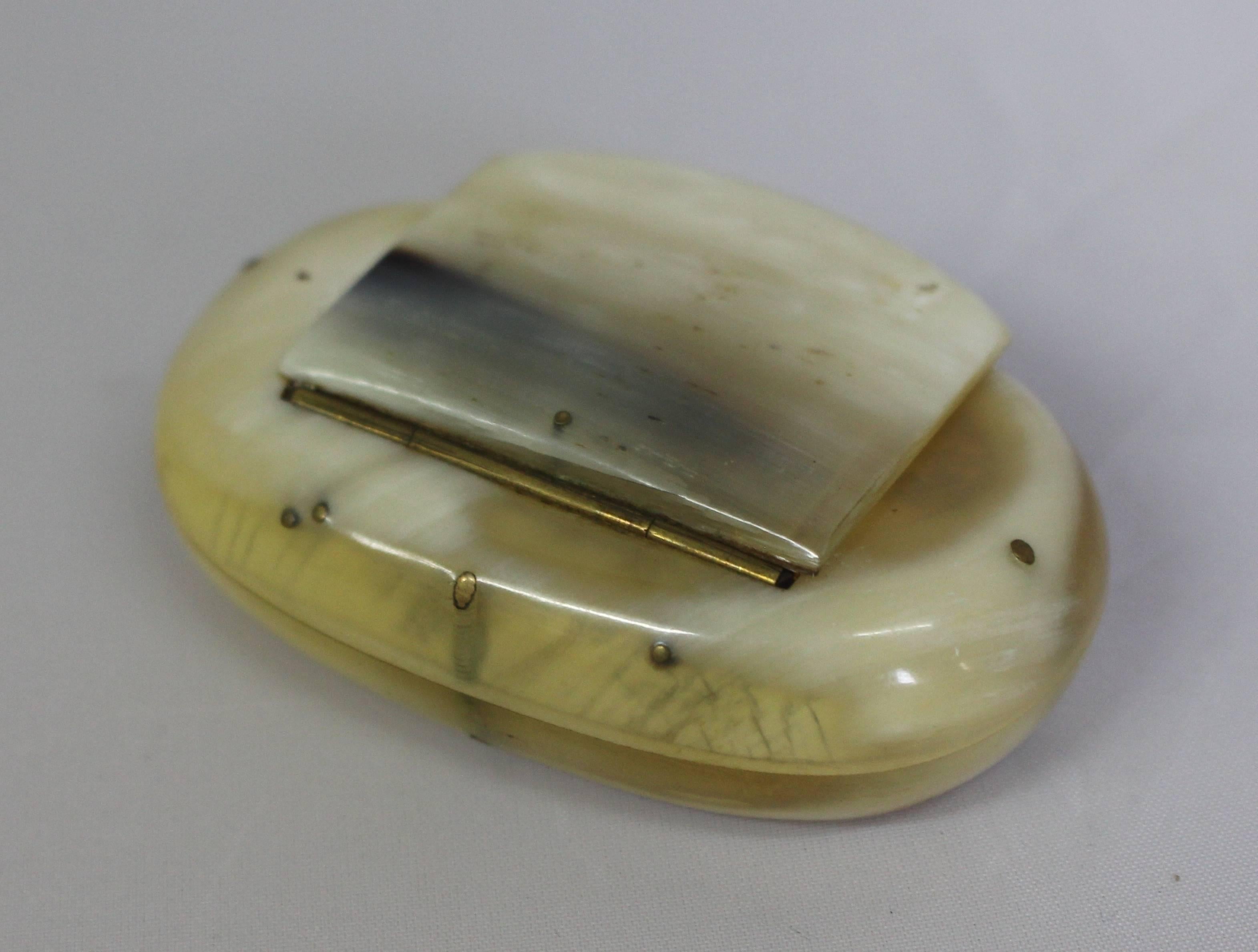 Antique Georgian Horn Snuff Box In Excellent Condition For Sale In Worcester, Worcestershire