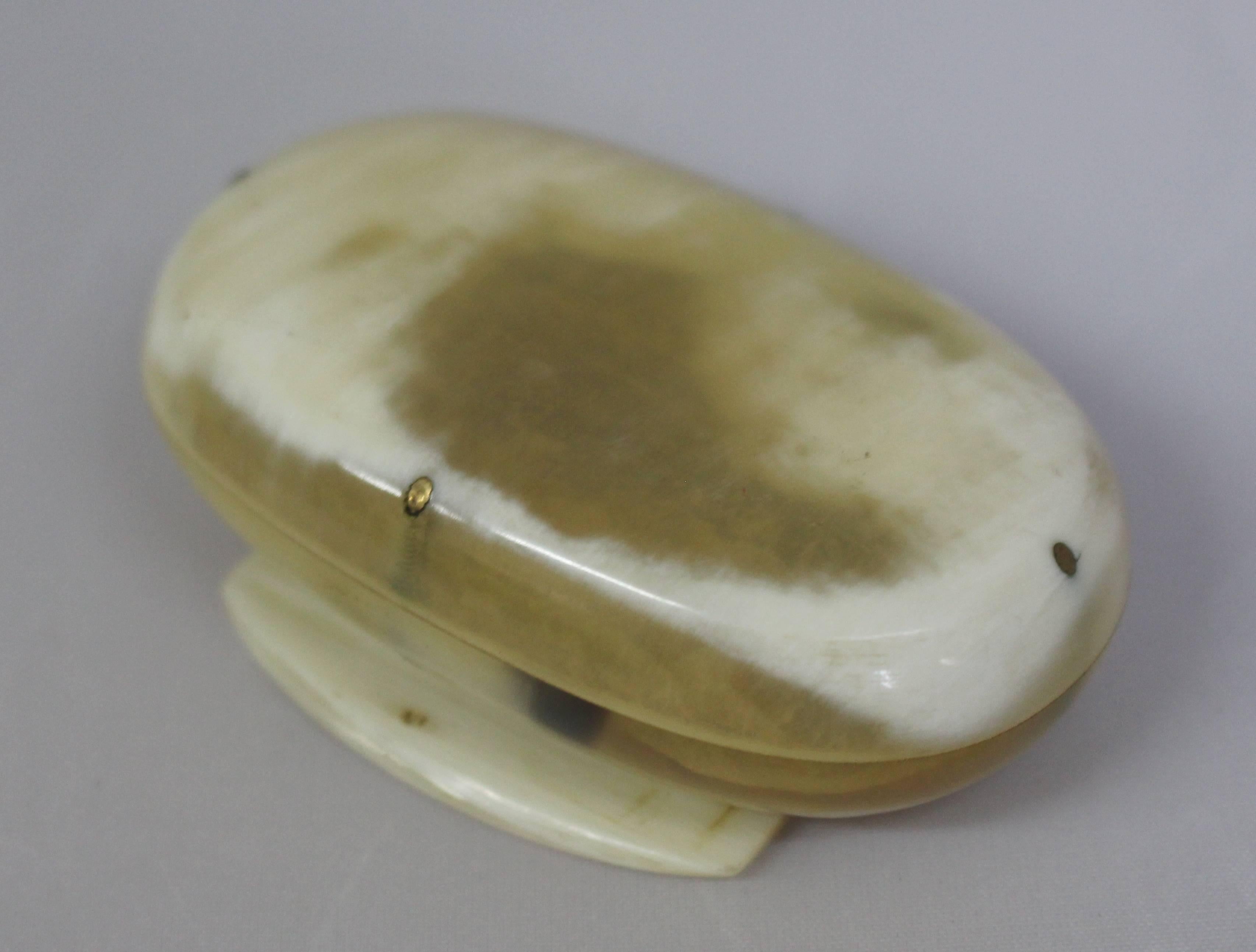 19th Century Antique Georgian Horn Snuff Box For Sale